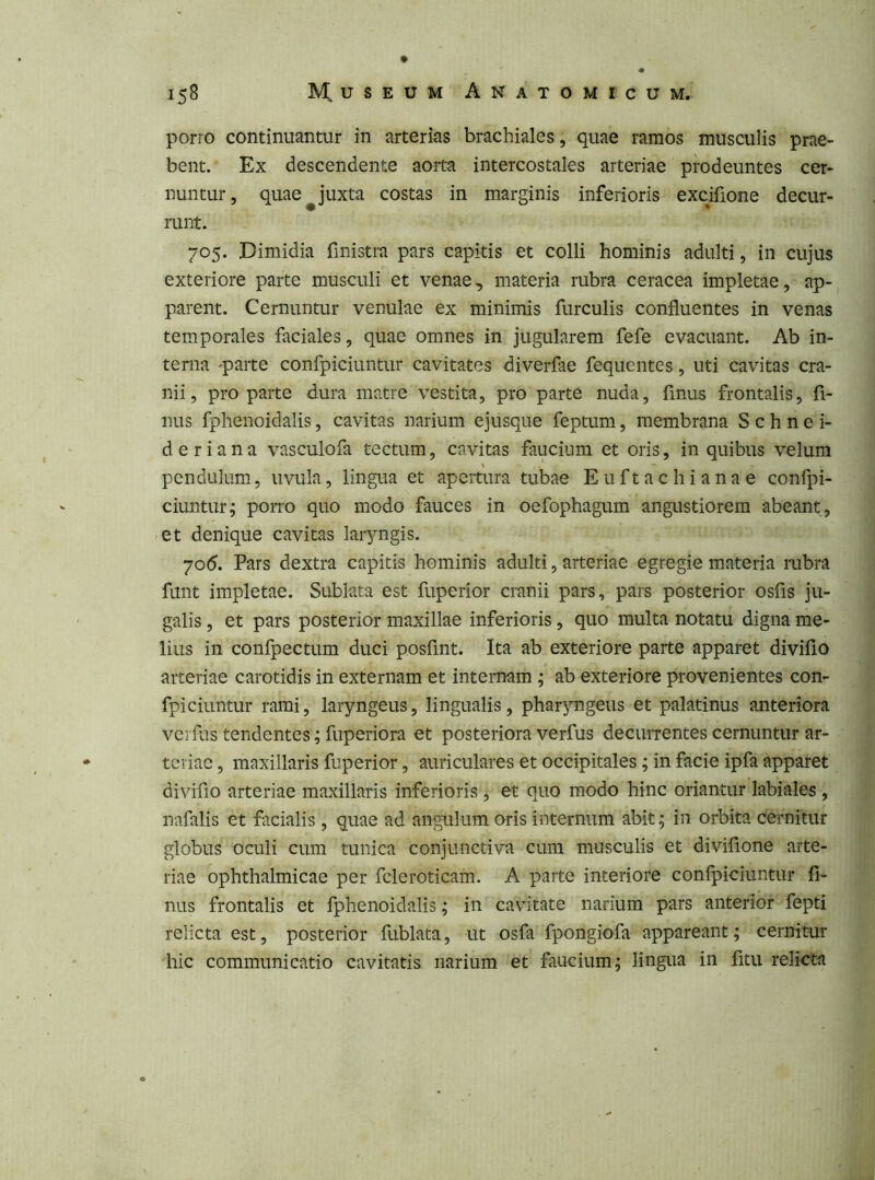 porro continuantur in arterias brachiales, quae ramos musculis prae- bent. Ex descendente aorta intercostales arteriae prodeuntes cer- nuntur, quae ^ juxta costas in marginis inferioris excifione decur- runt. 705. Dimidia finistra pars capitis et colli hominis adulti, in cujus exteriore parte musculi et venae, materia rubra ceracea impletae, ap- parent. Cernuntur venulae ex minimis furculis confluentes in venas temporales faciales, quae omnes in jugularem fefe evacuant. Ab in- terna parte confpiciuntur cavitates diverfae fequcntes, uti cavitas cra- nii, pro parte dura matre vestita, pro parte nuda, finus frontalis, fi- mis fphenoidalis, cavitas narium ejusque feptum, membrana S c h n ei- d e r i a n a vasculofa tectum, cavitas faucium et oris, in quibus velum pendulum, uvula, lingua et apertura tubae Euftachianae confpi- ciuntur; porro quo modo fauces in oefophagum angustiorem abeant, et denique cavitas laryngis. 70(5. Pars dextra capitis hominis adulti, arteriae egregie materia rubra funt impletae. Sublata est fuperior cranii pars, pars posterior osfis ju- galis , et pars posterior maxillae inferioris, quo multa notatu digna me- lius in confpectum duci posfint. Ita ab exteriore parte apparet diviflo arteriae carotidis in externam et internam ; ab exteriore provenientes con- fpiciuntur rami, laryngeus, lingualis, pharyngeus et palatinus anteriora vci fas tendentes; fuperiora et posteriora verfus decuiTentes cernuntur ar- teriae , maxillaris fuperior, auriculares et occipitales; in facie ipfa apparet diviflo arteriae maxillaris inferioris , et quo modo hinc oriantur labiales , nafalis et flicialis , quae ad angulum oris internum abit; in orbita cernitur globus oculi cum tunica conjunctiva cum musculis et divifione arte- riae ophthalmicae per fcleroticam. A parte interiore confpiciuntur fi- nus frontalis et fphenoidalis; in cavitate narium pars anterior fepti relicta est, posterior fublata, ut osfa fpongiofa appareant; cernitur hic communicatio cavitatis narium et faucium; lingua in fitu relicta