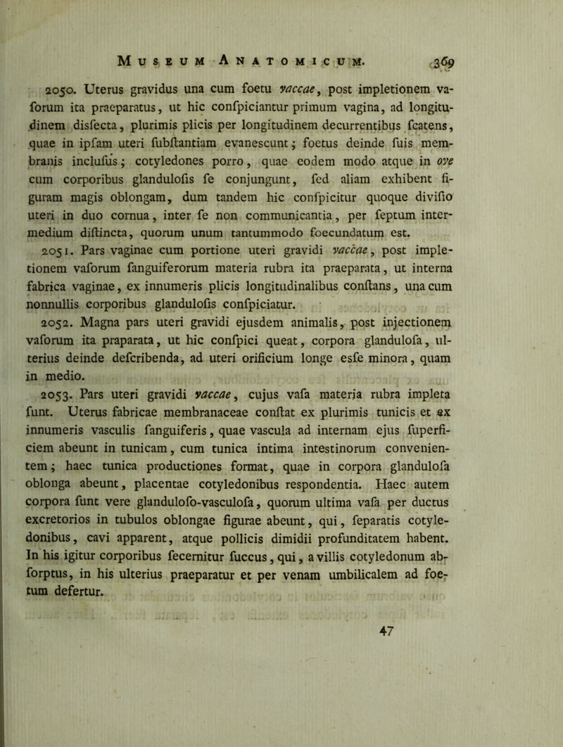 Museum Anatomj c u^m. 3^ 2050. Uterus gravidus una cum foetu vaccae^ post impletionem va- forum ita praeparatus, ut hic confpiciantur primum vagina, ad longitu- dinem disfecta, plurimis plicis per longitudinem decurrentibus fcatens, .quae in ipfam uteri fubftantiam evanescunt; foetus deinde fuis mem- branis inclufus; cotyledones porro, quae eodem modo atque in ove cum corporibus glandulofis fe conjungunt, fed aliam exhibent fi- guram magis oblongam, dum tandem hic confpicitur quoque divifio uteri in duo cornua, inter fe non communicantia, per feptum inter- medium diflincta, quorum unum tantummodo foecundatum est. 2051. Pars vaginae cum portione uteri gravidi vaccae^ post imple- tionem vaforum fanguiferorum materia rubra ita praeparata, ut interna fabrica vaginae, ex innumeris plicis longitudinalibus conflans, una cum nonnullis corporibus glandulofis confpiciatur. 2052. Magna pars uteri gravidi ejusdem animalis, post injectionem vaforum ita praparata, ut hic confpici queat, corpora glandulofa, ul- terius deinde defcribenda, ad uteri orificium longe esfe minora, quam in medio. 2053. Pars uteri gravidi vaccae^ cujus vafa materia rubra impleta funt. Uterus fabricae membranaceae conflat ex plurimis tunicis et ex innumeris vasculis fanguiferis, quae vascula ad internam ejus fuperfi- ciem abeunt in tunicam, cum tunica intima intestinorum convenien- tem ; haec tunica productiones format, quae in corpora glandulofa oblonga abeunt, placentae cotyledonibus respondentia. Haec autem corpora funt vere glandulofo-vasculofa, quorum ultima vafa per ductus excretorios in tubulos oblongae figurae abeunt, qui, feparatis cotyle- donibus, cavi apparent, atque pollicis dimidii profunditatem habent. In his igitur corporibus fecemitur fuccus, qui, a villis cotyledonum ab- forptus, in his ulterius praeparatur et per venam umbilicalem ad foe- tum defertur. 47