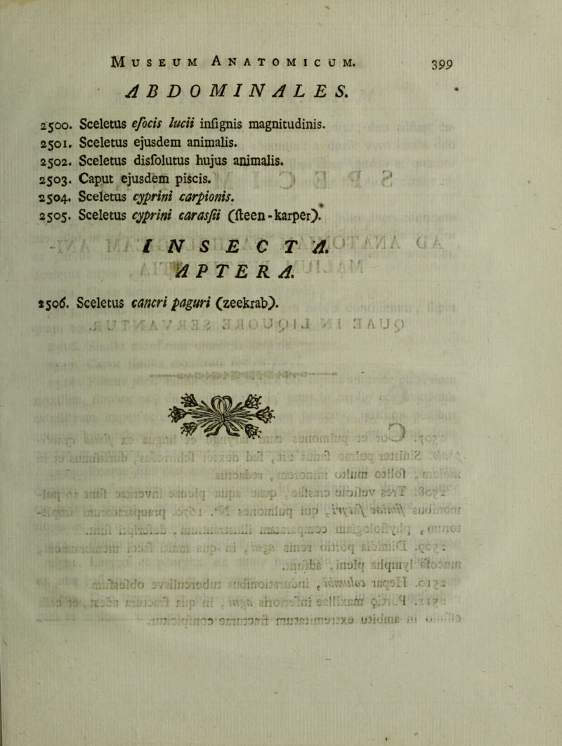 X M usEUM Anatomicum. 399 ABDOMINALES. 2500. Sceletus efocis lucii iiifignis magnitudinis. 2501. Sceletus ejusdem animalis. 2502. Sceletus disfolutus hujus animalis. 2503. Caput ejusdem piscis. I 2504. Sceletus carpionis. 2505. Sceletus caprini carasfii Cfteen-karper). : . i N S E' C T Ai - 'IA P T E R A. - i$o6. Sceletus cancri paguri (zeekrab). . v \ :i i . ^ J V1.1 '' 1 A ..ui 1: n \ ... \ V : ^ 'v:; wJljjrn o^lld) . r i3vn! :vp .'ih.i.o'jrulfjv gsiT '.'Ac: 2 r i / .. v;.;^rnlijq Urj ^V\\4;\8iju; ^r .. j... JJ '...iC ii c ^ '10? . iiiobe Jnylq .^ilqui^f :■■/dinoiodu? ndinoir? . inqsll .ci:o: I ? =v.:'*^ rj;p -V> ahc s-illoinfc 9’?,..^ : . i V 4