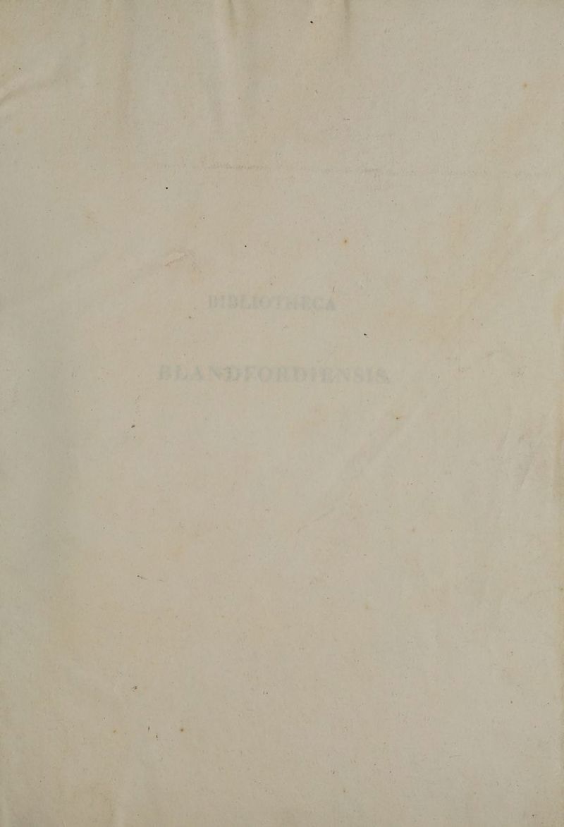 t. i 1 Ter * ATE LEM á ont j E GU ATSr EU , Li DR ViDEfo THECA z * dim JA 7m BLA NDFOR bikNsI &amp; € ELI