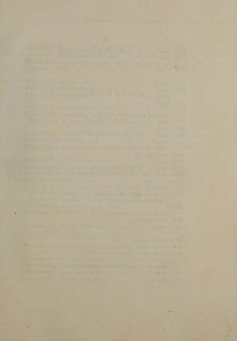 ] i P Jh uno CUM AS uc Lb Im Y s - Jh won key ul vis PA s Lut UN jd d rs wii eph) NO prc TOP, AT T w^ qol Mr wul mn x Ti] , a os 4611 w | 9,3 m P TTE ar ais Audi. al Md. RN ealléuá A dA t VETERE 3^ A 5  ' 4 i qi 2 Y SV a Urs À: ; d M L^ us p? : ( n ED ^d 2 Á / - ; 4 T Ve Lit Xx Nos ON d UE AUR iig bie JN. uL FEEPTT s e r A á j o 1 ( dde ( i ju 7344 43 SIT teet E Li  b í y ip: Jd ét K Nn e : p Ses H ET inel | À 1 Lj 1 . ^4 prx; | Eu - v .* Lo — ; : i N  /  / LUM : MARC ' NI Sii N , . Ü  i A T , ! D  ! d deem : ATA Ld — «A 9 N TR * h « ' NL d v IM D 3 NO DN  ^ £2
