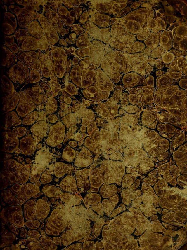 digitised image 1