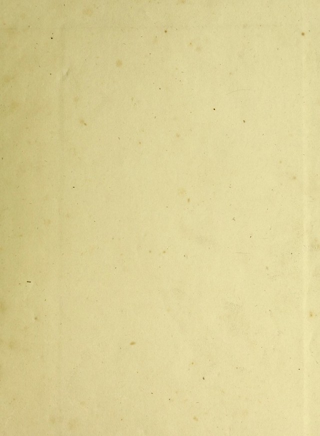 digitised image 3