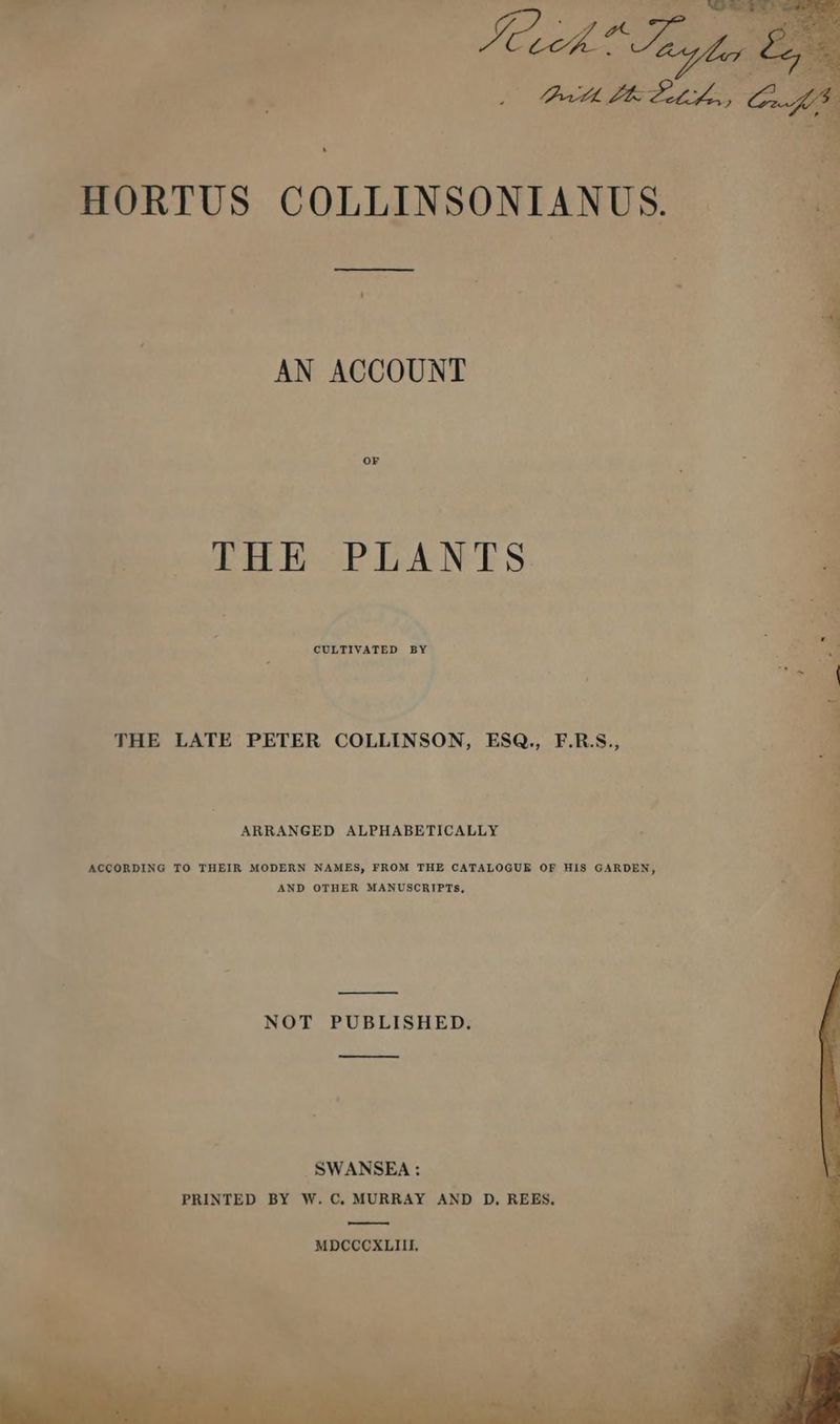 HORTUS COLLINSONIANUS. ———— AN ACCOUNT [03] THE PLANTS 3 CULTIVATED BY THE LATE PETER COLLINSON, ESQ., F.R.S.,, ARRANGED ALPHABETICALLY ACCORDING TO THEIR MODERN NAMES, FROM THE CATALOGUE OF HIS GARDEN, AND OTHER MANUSCRIPTS, NOT PUBLISHED. SWANSEA : PRINTED BY W. C. MURRAY AND D. REES. ———-—