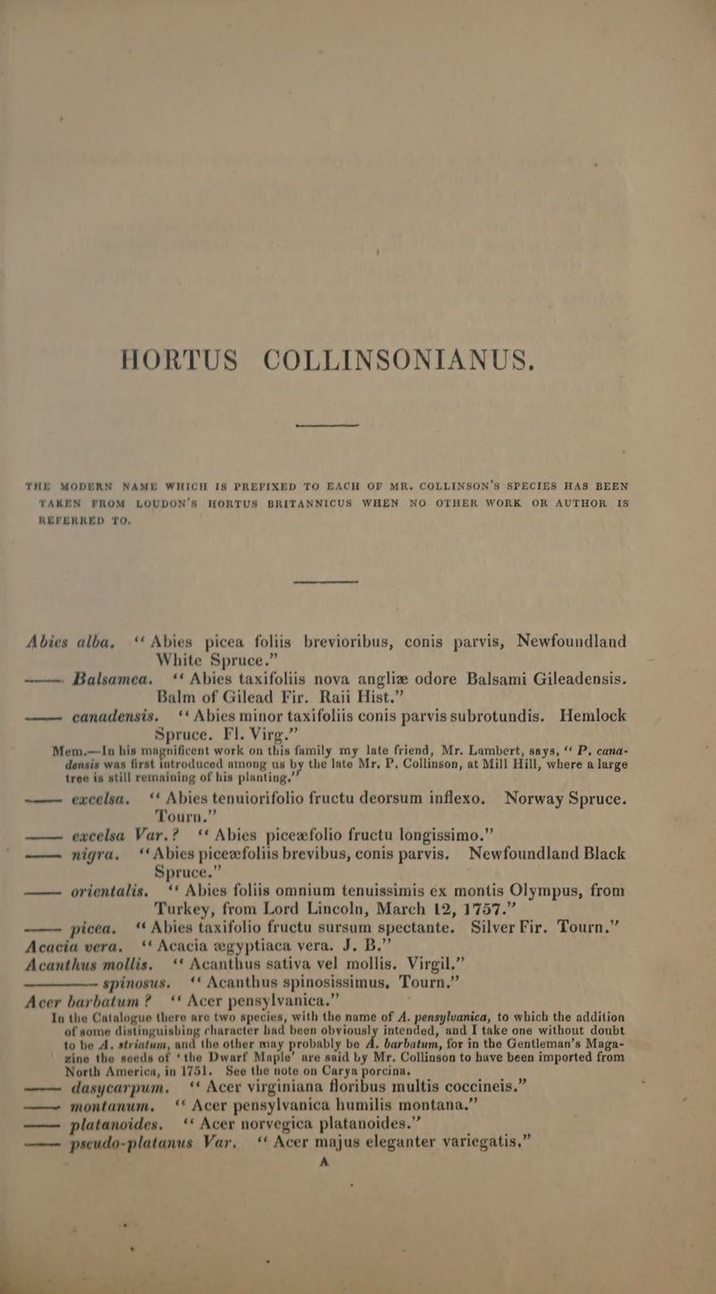 HORTUS COLLINSONIANUS. THE MODERN NAME WHICH IS PREFIXED TO EACH OF MR. COLLINSON'S SPECIES HAS BEEN TAKEN FROM LOUDON'S HORTUS BRITANNICUS WHEN NO OTHER WORK OR AUTHOR IS REFERRED TO. Abies alba, *' Abies picea foliis brevioribus, conis parvis, Newfoundland White Spruce. Balsamea. — ** Abies taxifoliis nova anglize odore Balsami Gileadensis. Balm of Gilead Fir. Raii Hist. canadensis. *' Abies minor taxifoliis conis parvis subrotundis. Hemlock Spruce. Fl. Virg. Mem.—1n his magnificent work on this family my late friend, Mr. Lambert, sn ys, ** P, cana- densis was first introduced among us by the late Mr. P, Collinson, at Mill Hill, where a large tree is still remaining of his planting. -—— excelsa, — ** Abies tenuiorifolio fructu deorsum inflexo. Norway Spruce. Tourn. excelsa Var.? *' Abies picecfolio fructu longissimo. -——— nigra, *''Abies picecfoliis brevibus, conis parvis. Newfoundland Black Spruce. —— orientalis. —** Abies foliis omnium tenuissimis ex montis Olympus, from Turkey, from Lord Lincoln, March 12, 1757. picea. — ** Abies taxifolio fructu sursum spectante. Silver Fir. Tourn. Acacia vera, —** Acacia vegyptiaca vera. J. D. Acanthus mollis. ** Acanthus sativa vel mollis. Virgil. spinosus. | ** Acanthus spinosissimus, Tourn. Acer barbatum ?.— ** Acer pensylvanica. In the Catalogue there are two species, with the name of A. pensylvanica, to which the addition of some distinguisbing character had been cbr mp intended, and I take one without doubt to be 4l. striatum, and the other may probably be A. barbatum, for in the Gentleman's Maga- zine the seeds of *the Dwarf Maple' are said by Mr. Collinson to have been imported from North America, in 1751. See the note on Carya porcina. à x dasycarpum., — ** Acer virginiana floribus multis coccineis. —— montanum, — '' Acer pensylvanica humilis montana. platanoides. — '* Acer norvegica platanoides. —— ypseudo-platanus Var, — ** Acer majus eleganter variegatis, : A