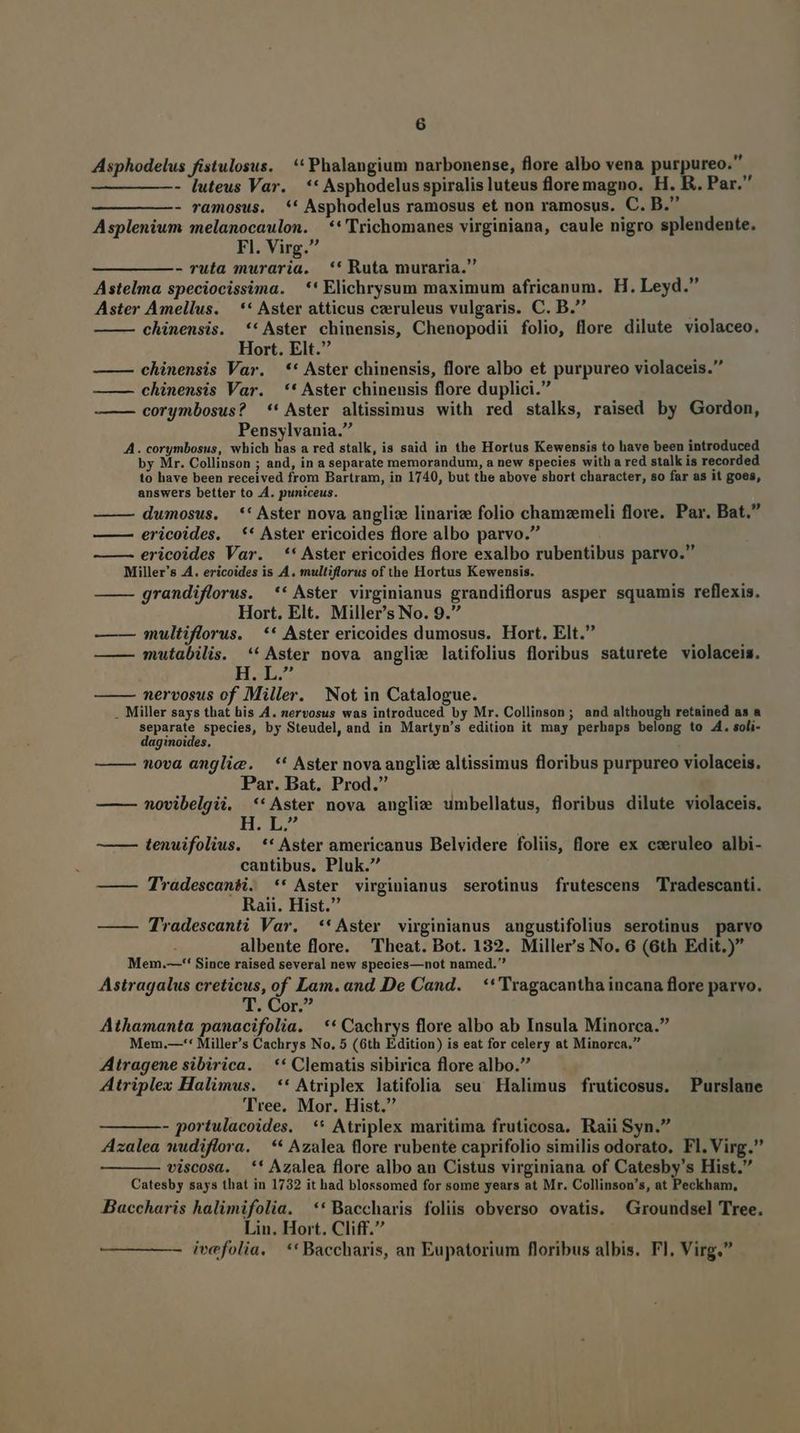 Asphodelus fistulosus. * Phalangium narbonense, flore albo vena purpureo. - luteus Var. ** Asphodelus spiralis luteus floremagno. H. R. Par. - ramosus. *' Asphodelus ramosus et non ramosus. C. B. Asplenium melanocaulon. **'Trichomanes virginiana, caule nigro splendente. Fl. Virg. - ruta muraria. *' Ruta muraria. Astelma speciocissima. —*' Elichrysum maximum africanum. H. Leyd. Aster Amellus. — ** Aster atticus czeruleus vulgaris. C. B. chinensis. ** Aster chinensis, Chenopodii folio, flore dilute violaceo. Hort. Elt. chinensis Var. —** Aster chinensis, flore albo et purpureo violaceis.' chinensis Var. —** Aster chinensis flore duplici. corymbosus? *' Aster altissimus with red stalks, raised by Gordon, Pensylvania. A. corymbosus, which has a red stalk, is said in the Hortus Kewensis to have been introduced by Mr. Collinson ; and, in a separate memorandum, a new species with a red stalk is recorded to have been received from Bartram, in 1740, but the above short character, so far as it goes, answers better to .4. puniceus. dumosus. *' Aster nova auglize linarize folio chamzemeli flore. Par. Bat. ericoides. —** Aster ericoides flore albo parvo. ericoides Var. ** Aster ericoides flore exalbo rubentibus parvo. Miller's .A. ericoides is A. multiflorus of the Hortus Kewensis. grandiflorus. ** Aster virginianus grandiflorus asper squamis reflexis. Hort, Elt. Miller's No. 9. —— nmultiflorus. ** Aster ericoides dumosus. Hort. Elt. —— mutabilis. ** Aster nova angliw latifolius floribus saturete violaceis. HL. nervosus of Miller. Not in Catalogue. . Miller says that his 4. nervosus was introduced by Mr. Collinson; and although retained as a separate species, by Steudel, and in Martyn's edition it may perhaps belong to 4. soli- daginoides. nova anglie. *' Aster nova anglic altissimus floribus purpureo violaceis. Par. Bat. Prod. novibelgii. **Aster nova anglie umbellatus, floribus dilute violaceis. HL ——— tenuifolius. ** Aster americanus Belvidere foliis, flore ex csruleo albi- cantibus. Pluk. ——— TradescanWi. ** Aster virginianus serotinus frutescens Tradescanti. Raii. Hist. — — Tradescanti Var. **Aster virginianus angustifolius serotinus parvo albente flore. Theat. Bot. 132. Miller's No. 6 (6th Edit.) Mem.—-* Since raised several new species—not named. Astragalus creticus, of Lam. and De Cand. **Tragacantha incana flore parvo. T. Cor. Athamanta panacifolia. | ** Cachrys flore albo ab Insula Minorca. Mem.—-* Miller's Cachrys No. 5 (6th Edition) is eat for celery at Minorca. Atragene sibirica. . ** Clematis sibirica flore albo. Atriplex Halimus. ** Atriplex latifolia seu Halimus fruticosus. Purslane Tree. Mor. Hist. - portulacoides. ** Atriplex maritima fruticosa. Raii Syn. Azalea nudiflora. ** Azalea flore rubente caprifolio similis odorato, Fl, Virg. viscosa. ** Azalea flore albo an Cistus virginiana of Catesby's Hist. Catesby says that in 1732 it had blossomed for some years at Mr. Collinson's, at Peckham, Baccharis halimifolia. ** Baccharis foliis obverso ovatis. Groundsel Tree. Lin. Hort. Cliff. ivefolia. **Baccharis, an Eupatorium floribus albis. Fl. Virg.