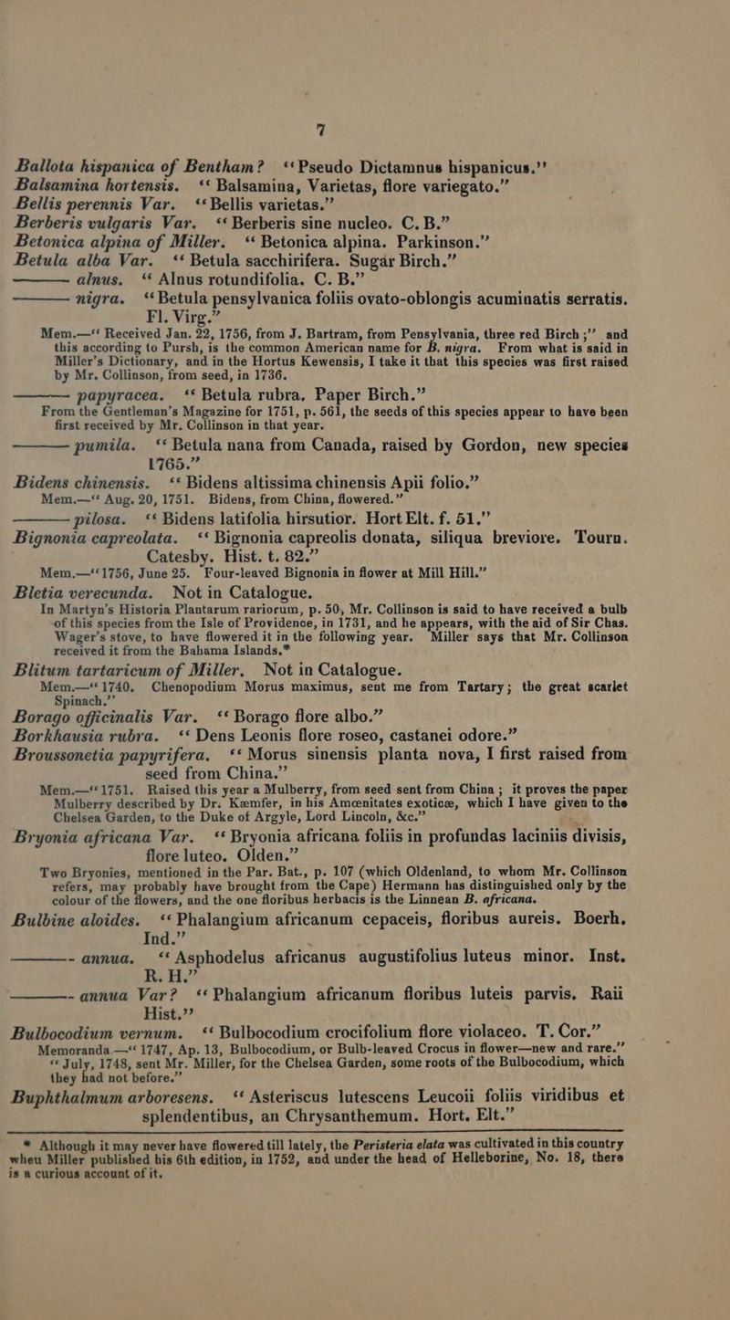Ballota hispanica of Bentham? — **Pseudo Dictamnus hispanicus.' Balsamina hortensis. | ** Balsamina, Varietas, flore variegato. Bellis perennis Var. **Bellis varietas. Berberis vulgaris Var. — ** Berberis sine nucleo. C. B. Betonica alpina of Miller. ** Betonica alpina. Parkinson. Betula alba Var. ** Betula sacchirifera. Sugár Birch. alnus. ** Alnus rotundifolia. C. B. nigra. **Betula pensylvanica foliis ovato-oblongis acuminatis serratis. Fl. Virg. Mem.—-** Received Jan. 22, 1756, from J. Bartram, from Pensylvania, three red Birch ; and this according to Pursh, is the common American name for /3 nigra. From what is said in Miller's Dictionary, and in the Hortus Kewensis, I take it that this species was first raised by Mr. Collinson, from seed, in 1736. papyracea. ** Betula rubra, Paper Birch. From the Gentleman's Magazine for 1751, p. 561, the seeds of this species appear to have been first received by Mr. Collinson in that year. pumila. ** Betula nana from Canada, raised by Gordon, new species 1765. Bidens chinensis. ** Bidens altissima chinensis Apii folio. Mem.—'' Aug. 20, 1751. Bidens, from China, flowered.  pilosa. —** Bidens latifolia hirsutior. Hort Elt. f. 51. Bignonia capreolata. —** Bignonia capreolis donata, siliqua breviore. Tourn. Catesby. Hist. t. 82. Mem.—**1756, June 25. Four-leaved Bignonia in flower at Mill Hill. Bletia verecunda. | Not in Catalogue. In Martyn's Historia Plantarum rariorum, p. 50, Mr. Collinson is said to have received a bulb of this species from the Isle of Providence, in 1731, and he appears, with the aid of Sir Chas. Wager's stove, to have flowered it in the following year. Miller says that Mr. Collinson received it from the Bahama Islands,* Blitum tartaricum of Miller. Not in Catalogue. Mem.—**1740, Chenopodium Morus maximus, sent me from Tartary; the great scarlet Spinach. Borago officinalis Var. ** Borago flore albo. Borkhausia rubra. | ** Dens Leonis flore roseo, castanei odore. Broussonetia papyrifera. ** Morus sinensis planta nova, I first raised from seed from China. Mem.—''1751. Raised this year a Mulberry, from seed sent from China ; it proves the paper Mulberry described by Dr. Kamfer, in his Amocenitates exotioe, which I have given to the Chelsea Garden, to the Duke of Argyle, Lord Lincoln, &amp;c. NW Bryonia africana Var. —** Bryonia africana foliis in profundas laciniis divisis, flore luteo. Olden. Two Bryonies, mentioned in the Par. Bat., p. 107 (which Oldenland, to whom Mr. Collinson refers, may probably have brought from the Cape) Hermann has distinguished only by the colour of the flowers, and the one floribus herbacis is the Linnean B. africana. Bulbine aloides. **Phalangium africanum cepaceis, floribus aureis. Boerh. Ind. ; - annua. *' Asphodelus africanus augustifolius luteus minor. Inst. E. H7 -annua Var? *'*Phalangium africanum floribus luteis parvis. Raii Hist. Bulbocodium vernum. — ** Bulbocodium crocifolium flore violaceo. T. Cor. Memoranda.—-* 1747, Ap. 13, Bulbocodium, or Bulb-leaved Crocus in flower—new and rare. ** July, 1748, sent Mr. Miller, for the Chelsea Garden, some roots of the Bulbocodium, which they had not before. Buphthalmum arboresens. '* Asteriscus lutescens Leucoii foliis viridibus et splendentibus, an Chrysanthemum. Hort, Elt. * Although it may never bave flowered till lately, the Peristeria elata was cultivated in this country wheu Miller published his 6th edition, in 1752, and under the head of Helleborine, No. 18, there is a curious account of it,