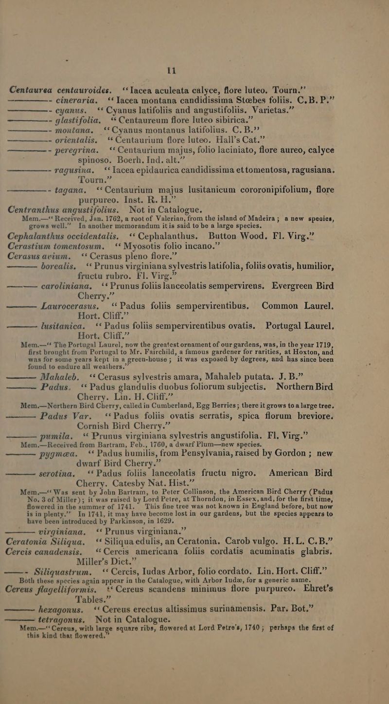 Centaurea centauroides. *'lacea aculeata calyce, flore luteo. Tourn. - cineraria. **lacea montana candidissima Stcbes foliis. C, B. P. - cyanus. *' Cyanus latifoliis and angustifoliis. Varietas. - glastifolia. ** Centaureum flore luteo sibirica. - montana. ** Cyanus montanus latifolius. C, B.^ - orientalis. ** Centaurium flore luteo. Hall's Cat. - peregrina. — ** Centaurium majus, folio laciniato, flore aureo, calyce spinoso. Boerh. Ind. alt. -ragusina. *'laceaepidaurica candidissima ettomentosa, ragusiana. Tourn. - tagana. *'Centaurium majus lusitanicum cororonipifolium, flore purpureo. Inst. R. H. Centranthus angustifolius. Not in Catalogue. Mem.—'* Received, Jan. 1762, a root of Valerian, from the island of Madeira; a new speoies, grows well. In another memorandum it is said to be a large species. Cephalanthus occidentalis. ** Cephalanthus. Button Wood. Fl. Virg. Cerastium tomentosum. | ** Myosotis folio incano. Cerasus avium. — ** Cerasus pleno flore. borealis, —** Prunus virginiana sylvestris latifolia, foliis ovatis, humilior, fructu rubro. Fl. Virg. ———— caroliniana. ** Prunus foliislanceolatis sempervirens. Evergreen Bird Cherry. Laurocerasus. **Padus foliis sempervirentibus, ^ Common Laurel. Hort. Cliff. lusitanica. ** Padus foliis sempervirentibus ovatis. Portugal Laurel. Hort. Cliff. Mem.—'* The Portugal Laurel, now the greatest ornament of our gardens, was, in the year 1719, first brought from Portugal to Mr. Fairchild, a famous gardener for rarities, at Hoxton, and was for some years kept in a green-house ; it was exposed by degrees, and has since been found to endure all weathers. Mahaleb. | ** Cerasus sylvestris amara, Mahaleb putata. J. B. Padus. ** Padus glandulis duobus foliorum subjectis. Northern Bird Cherry. Lin. H. Cliff. Mem.—Northern Bird Cherry, called in Cumberland, Egg Berries; there it grows toa large tree. Padus Var. **Padus foliis ovatis serratis, spica florum breviore. Cornish Bird Cherry. pwmila. ** Prunus virginiana sylvestris angustifolia. Fl, Virg. Mem.— Received from Bartram, Feb., 1760, a dwarf Plum—new species. pygmea. ** Padus humilis, from Pensylvania, raised by Gordon ; new dwarf Bird Cherry. serotina. *' Padus foliis lanceolatis fructu nigro. ^ American Bird Cherry. Catesby Nat. Hist. Mem.,—'* Was sent by John Bartram, to Peter Collinson, the American Bird Cherry (Padus No. 3 of Miller); it was raised by Lord Petre, at Thorndon, in Essex, and, for the first time, flowered in the summer of 1741. This fine tree was not known in England before, but now is in plenty. In 1741, it may have become lost in our gardens, but the species appears to have been introduced by Parkinson, in 1629. virginiana. *' Prunus virginiana. Ceratonia Siliqua. ** Siliqua edulis, an Ceratonia. Carob vulgo. H.L. C. B. Cercis canadensis. —**Cercis americana foliis cordatis acuminatis glabris. Miller's Dict. ——- BSiliquastrum. — ** Cercis, Iudas Arbor, folio cordato. Lin. Hort. Cliff. Both these species again appear in the Catalogue, with Arbor Iudz, for a generic name. Cereus flagelliformis. ** Cereus scandens minimus flore purpureo. Ehret's Tables. 'wposie hexagonus. ** Cereus erectus altissimus surinamensis. Par. Bot. — tetragonus. Not in Catalogue. Mem.—'' Cereus, with large square ribs, flowered at Lord Petre's, 1740 ; perhaps the first of this kind that lowered,