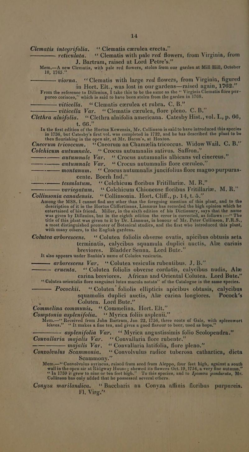 Clematis integrifolia. —** Clematis caerulea erecta. reticulata. — ** Clematis with pale red flowers, from Virginia, from J. Bartram, raised at Lord Petre's. Mem.—A new Clematis, with pale red flowers, stolen from our garden at Mill Hill, October 10, 1765. ju viorna. *'Clematis with large red flowers, from Virginia, figured in Hort. Elt., was lost in our gardens—raised again, 1762. From tle reference to Dillenius, I take this to be the same as the ** Virginia Clematis flóre pur- pureo coriaceo, which is said to have been stolen from the garden in 1768. viticella. —** Clematis czerulea et rubra, C. B. viticella Var. ** Clematis cvrulea, flore pleno. C. B. Clethra alnifolia. | ** Clethra alnifolia americana. Catesby Hist., vol. L,, p. 66, t. 66. In the first edition of the Hortus Kewensis, Mr. Collinson is said to have introduced this species in 1736, but Catesby's first vol. was completed in 1732, and he has described the plant to be then flourishing in the open air, at Mr. Bacon's, at Hoxton. Cneorum tricoccum. | ** Cneorum an Chamzelia tricoccus. Widow Wail. C. B. Colchicum autumnale. —** Crocus autumnalis sativus, Saffron. autumnale Var. | ** Crocus autumnalis albicans vel cinereus. autumnale Var. | ** Crocus autumnalis flore czeruleo. montanum. ** Crocus autumnalis juncifolius flore magno purpuras- cente. Boerh Ind. tessulatum. . ** Colchicum floribus Fritillarize. M. R. variegatum. — ** Colchicum Chionense floribus Fritillarie, M, R. Collinsonia canadensis. *'Collinsonia. Hort. Cliff., p. 14, t. 5. Among the MSS. I cannot find any other than the foregoing mention of this plant, and to the description of it in the Hortus Cliffortianus, Linnzeus has recorded the high opinion which he entertained of his friend. Miller, in the sixth edition of his Dictionary, says that the name was given by Dillenius, but in the eighth edition the error is corrected, as follows :—** The title of this plant was given to it by Dr. Linneeus, in honour of Mr. Peter Collinson, F.R.S., a most distinguished promoter of Botanical studies, and the first who introduced this plant, with many others, to the English gardens. Colutea arborescens. — ** Colutea foliolis obverse ovatis, apicibus obtusis seta terminatis, calycibus squamula duplici auctis, Ale carinis breviores. Bladder Senna. Lord Bute. It also appears under Banlin's name of Colutea vesicaria. ——— arborescens Var. — ** Colutea vesiculis rubentibus. J. B. — cruenta. *' Colutea foliolis obverse cordatis, calycibus nudis, Ale carina breviores. African and Oriental Colutea. Lord Bute. ** Colutea orientalis flore sanguinei lutea macula notato of the Catalogue is the same species. * .* A LI ^ L * . * * LI LI Pocockii. ** Colutea foliolis ellipticis apicibus obtusis, calycibus squamulis duplici auctis, Ale carina longiores, ^ Pocock's ER Colutea. Lord Bute. Commelina communis, ** Commelina. Hort. Elt.  Comptonia asplenifolia. —** Myrica foliis asplenii. Mem.—'* Received from John Bartram, Jan. 22, 1756, three roots of Gale, with spleenwort leaves. ** It makes a fine tea, and gives a good flavour to beer, used as hops. - asplenifolia Var. ** Myrica angustissimis folio Scolopendra. Convallaria majalis Var. —** Convallaria flore rubente. majalis Var. ** Convallaria latifolia, flore pleno. Convolvulus Scammonia. ** Convolvulus radice tuberosa cathartica, dicta Scammony. Mem.—-** Convolvulus syriacus, raised from seed from Aleppo, four feet high, against a south wall in the open air at Ridgway House ; shewed its flowers Oct. 19, 1754, a very fine autumn. ** In 1759 it grew to nine or ten feet high. To this species, and to Zpomcea pandurata, Mr. Collinson bas only added tliat he possessed several others. Conyza marilandica. '*Baccharis au Conyza aflinis floribus purpureis. F]. Virg. ———— —