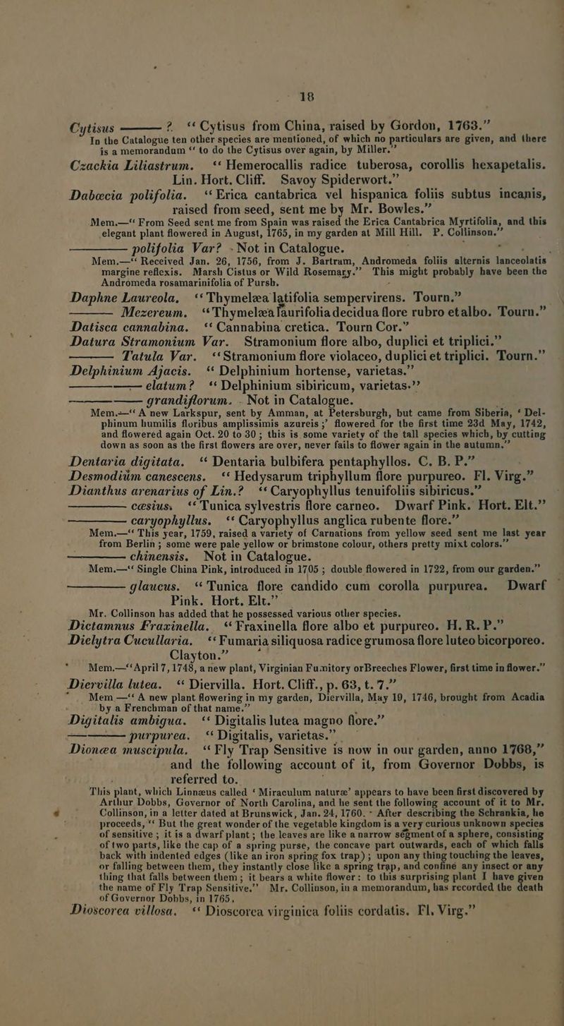 Cytisus 2 *'*Cytisus from China, raised by Gordon, 1763. In the Catalogue ten other species are mentioned, of which no particulars are given, and (here is a memorandum *' to do the Cytisus over again, by Miller. zackia Liliastrum. —** Hemerocallis radice tuberosa, corollis hexapetalis. Lin. Hort. Cliff. Savoy Spiderwort. Dabcecia polifolia. —**Erica cantabrica vel hispanica foliis subtus incanis, raised from seed, sent me by Mr. Bowles. Mem.—-** From Seed sent me from Spain was raised the Erica Cantabrica Myrtifolia, and this elegant plant flowered in August, 1765, in my garden at Mill Hill. P. Collinson. polifolia Var? . Not in Catalogue. margine reflexis. Marsh Cistus or Wild Rosernary. This might probably have been the Andromeda rosamarinifolia of Pursh. : Daphne Laureola, | ** Thymelza latifolia sempervirens. Tourn. Mezereum. '* Thymelza laurifolia decidua flore rubro etalbo. Tourn. DDatisca cannabina. ** Cannabina cretica. Tourn Cor. Datura Stramonium Var. Stramonium flore albo, duplici et triplici. Tatula Var. *'Stramonium flore violaceo, duplici et triplici. Tourn. Delphinium Ajacis. ** Delphinium hortense, varietas. — elatum? . ** Delphinium sibiricum, varietas. grandiflorum. . Not in Catalogue. Mem.-—'* A new Larkspur, sent by Amman, at Petersburgh, but came from Siberia, * Del- phinum humilis floribus amplissimis azureis;' flowered for the first time 23d May, 1742, and flowered again Oct. 20 to 30 ; this is some variety of the tall species which, by cutting down as soon as the first flowers are over, never fails to flower again in the autumn, Dentaria digitata. ** Dentaria bulbifera pentaphyllos. C. B. P. . Desmodiim canescens. — ** Hedysarum triphyllum flore purpureo. Fl. Virg. Dianthus arenarius of Lin.? | ** Caryophyllus tenuifoliis sibiricus. cesius. *' Tunica sylvestris flore carneo. Dwarf Pink. Hort. Eit. caryophyllus. ** Caryophyllus anglica rubente flore. Mem.—-'' This year, 1759, raised a variety of Carnations from yellow seed sent me last year from Berlin ; some were pale yellow or brimstone colour, others pretty mixt colors. chinensis. Not in Catalogue. Mem.—'' Single China Pink, introduced in 1705 ; double flowered in 1722, from our garden. glaucus. **'Tunica flore candido cum corolla purpurea. — Dwarf Pink. Hort, Elt. , Mr. Collinson has added that he possessed various otlier species. Dictamnus Fraxinella. ** Fraxinella flore albo et purpureo. H. R. P. Dielytra Cucullaria. | ** Fumaria siliquosa radice grumosa flore luteo bicorporeo. Clayton. ' — Mem.—*'April 7,1748, a new plant, Virginian Fumitory orBreeches Flower, first time in flower. Diervilla lutea. ** Diervilla. Hort. Cliff., p. 63, t. 7. '* | Mem —*' A new plant flowering in my garden, Diervilla, May 19, 1746, brought from Acadia by a Frenchman of that name. i Digitalis ambigua. ** Digitalis lutea magno flore. purpurea. *'Digitalis, varietas. Dioncea muscipula. ** Fly Trap Sensitive is now in our garden, anno 1768, and the following account of it, from Governor Dobbs, is referred to. This plant, which Linnzus called * Miraculum naturz' appears to have been first discovered by Arthur Dobbs, Governor of North Carolina, and he sent the following account of it to Mr. Collinson, in a letter dated at Brunswick, Jan. 24, 1760. * After describing the Schrankia, he proceeds, ** But the great wonder of the vegetable kingdom is a very curious unknown species of sensitive ; it is a dwarf plant ; the leaves are like a narrow ségment of a sphere, consisting of two parts, like the cap of a spring purse, the concave part outwards, each of which falls back with indented edges (like an iron spring fox trap) ; upon any thing touching the leaves, or falling between them, they instantly close like a spring trap, and confiné any insect or any thing that falls between tüem ; it bears a white flower: to this surprising plant I have es the name of Fly Trap Sensitive, Mr. Collinson, in a memorandum, has recorded the death of Governor Dobbs, in 1765, Dioscorea villosa. — ** Dioscorea virginica foliis cordatis. Fl, Virg.
