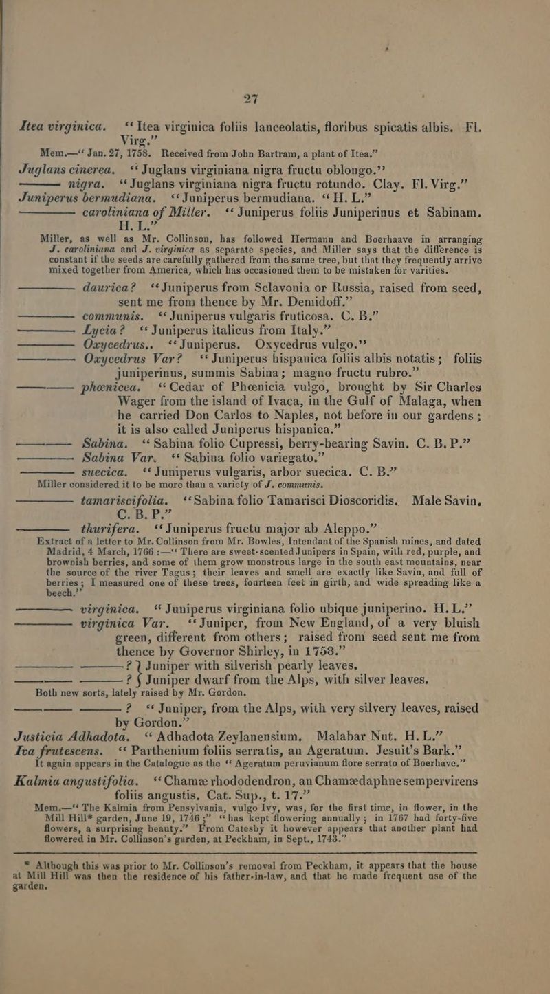 ltea virginica. — **Itea virginica foliis lanceolatis, floribus spicatis albis. Fl. Yug. Mem.—*' Jan. 27, 1758. Received from John Bartram, a plant of Itea. Juglans cinerea. | ** Juglans virginiana nigra fructu oblongo. nigra. **Juglans virginiana nigra fructu rotundo. Clay. Fl. Virg. Juniperus bermudiana. **Juniperus bermudiana. ** H. L. caroliniana of Miller. ** Juniperus foliis Juniperinus et Sabinam. HD Miller, as well as Mr. Collinson, has followed Hermann and Boerhaave in arranging J. caroliniana and J. virginica as separate species, and Miller says that the difference is constant if the seeds are carefully gathered from the same tree, but that they frequently arrive mixed together from America, which has occasioned them to be mistaken for varities. daurica? **Juniperus from Sclavonia or Russia, raised from seed, sent me from thence by Mr. Demidoff. ——— ——- communis. **Juniperus vulgaris fruticosa. C. B. ————— Lycia? ** Juniperus italicus from Italy. Oxycedrus.. **Juniperus. Oxycedrus vulgo. Oxycedrus Var? — ** Juniperus hispanica foliis albis notatis; foliis juniperinus, summis Sabina; magno fructu rubro. ————— phenicea. ** Cedar of Phoenicia vuigo, brought by Sir Charles Wager from the island of Ivaca, in the Gulf of Malaga, when he carried Don Carlos to Naples, not before in our gardens ; it is also called Juniperus hispanica. — —— — Sabina. **Sabina folio Cupressi, berry-bearing Savin. C. B. P. Sabina Var. ** Sabina folio variegato. suecica. ** Juniperus vulgaris, arbor suecica. C. B. Miller considered it to be more than a variety of J. communis. tamariscifolia. **Sabina folio Tamarisci Dioscoridis. Male Savin. UB; P. thurifera. — ** Juniperus fructu major ab Aleppo.' Extract of a letter to Mr. Collinson from Mr. Bowles, Intendant of the Spanish mines, and dated Madrid, 4 March, 1766 :—*'* There are sweet-scented Junipers in Spain, with red, purple, and brownish berries, and some of them grow monstrous large in the south east mountains, near the source of the river Tagus; their leaves and smell are exactly like Savin, and full of berries; I measured one of these trees, fourteen feet in girih, and wide spreading like a beech.* virginica. *' Juniperus virginiana folio ubique juniperino. H. L. virginica Var. — **Juniper, from New England, of a very bluish green, different from others; raised from seed sent me from thence by Governor Shirley, in 17598. ? 1 Juniper with silverish pearly leaves. —— ? V Juniper dwarf from the Alps, with silver leaves. Both new sorts, lately raised by Mr. Gordon, ? ** Juniper, from the Alps, wiih very silvery leaves, raised by Gordon. Justicia Adhadota. ** Adhadota Zeylanensium, ^ Malabar Nut. H.L. Iva frutescens. — ** Parthenium foliis serratis, an Ageratum. Jesuit's Bark. It again appears in the Catalogue as the ** Ageratum peruvianum flore serrato of Boerhave. Kalmia angustifolia. ** Chamze rhododendron, an Chamzedaphnesempervirens foliis angustis, Cat. Sup., t. 17. Mem,—'* The Kalmia from Pensylvania, vulgo Ivy, was, for the first time, in flower, in the Mill Hill* garden, June 19, 1746 ; **has kept flowering annually ; in 1767 had forty-five flowers, a surprising beauty. From Catesby it however appears that another plant had flowered in Mr. Collinson's garden, at Peckham, in Sept., 1743. ? ——— * Although this was prior to Mr. Collinson's removal from Peckham, it appears that the house at rs Hill was then the residence of his father-in-law, and that he made frequent use of the garden.