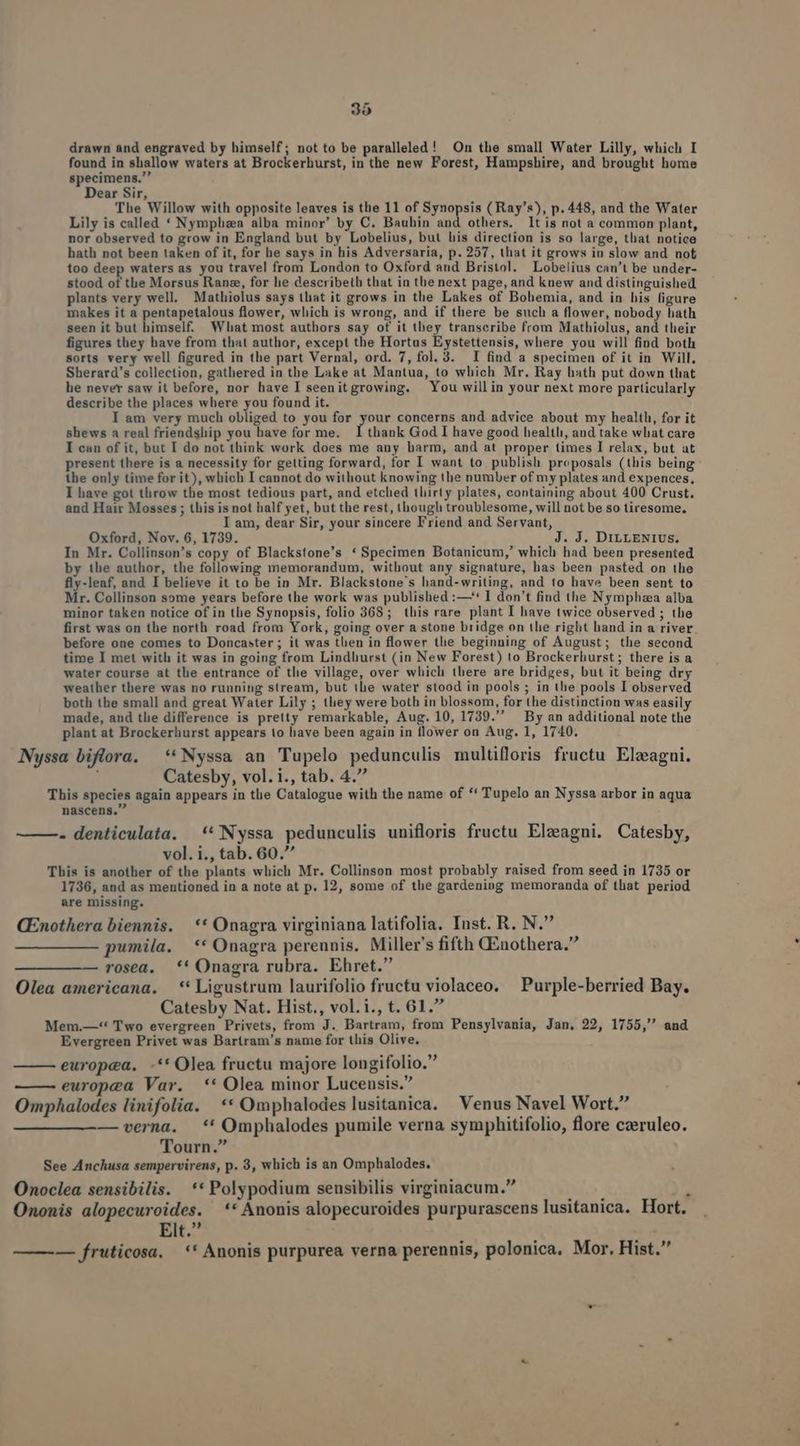 drawn and engraved by himself; notto be paralleled! On the small Water Lilly, which I found in shallow waters at Brockerhurst, in the new Forest, Hampshire, and brought home specimens. Dear Sir, The Willow with opposite leaves is the 11 of Synopsis ( Ray's), p. 448, and the Water Lily is called * Nymphzea alba minor' by C. Bauhin and others. It is not a common plant, nor observed to grow in England but by Lobelius, but his direction is so large, that notice hath not been taken of it, for he says in his Adversaria, p. 257, that it grows in slow and not too deep waters as you travel from London to Oxford and Bristol. Lobelius can't be under- stood of the Morsus Ranz, for lie describetb that in the next page, and knew and distinguished plants very well. Mathiolus says that it grows in the Lakes of Bohemia, and in his figure makes it a pentapetalous flower, which is wrong, and if there be such a flower, nobody hath seen it but himself. What most authors say of it they transcribe from Mathiolus, and their figures they bave from that author, except the Hortus Eystettensis, where you will find both sorts very well figured in the part Vernal, ord. 7, fol. 3. I find a specimen of it in Will, Sherard's collection, gathered in the Lake at Mantua, to which Mr. Ray hath put down that he never saw it before, nor have I seenitgrowing. You willin your next more particularly describe the places where you found it. I am very much obliged to you for pur concerns and advice about my health, for it shews a real friendship you have for me. Ithank God I have good health, and take what care I can of it, but I do not think work does me any harm, and at proper times I relax, but ut present there is a necessity for getting forward, for I want to publish proposals (this being the only time for it), wbich I cannot do without knowing the number of my plates and expences, I have got throw the most tedious part, and etched tliirty plates, containing about 400 Crust. and Hair Mosses ; this is not half yet, but the rest, thougli troublesome, will not be so tiresome. I am, dear Sir, your sincere Friend and Servant, Oxford, Nov. 6, 1739. J. J. DirzLENIUS. In Mr. Collinson's copy of Blackstone's * Specimen Botanicum,' which had been presented by the author, the following memorandum, without any signature, has been pasted on the fly-leaf, and I believe it to be in Mr. Blackstone's hand-writing, and to have been sent to Mr. Collinson some years before the work was published :—'* I don't find the Nymphzea alba minor taken notice of in the Synopsis, folio 368; this rare plant I have twice observed ; the first was on the north road from York, going over a stone bridge on the right hand in a river before one comes to Doncaster ; it was tlien in flower tle beginning of August; the second time I met with it was in going from Lindhurst (in New Forest) to Brockerhurst; there is a water course at the entrance of tlie village, over which there are bridges, but it being dry weather there was no running stream, but ile water stood in pools ; in the pools I observed both tbe small and great Water Lily ; tliey were both in blossom, for the distinction was easily made, and the difference is pretty remarkable, Aug. 10, 1739. — By an additional note the plant at Brockerhurst appears to have been again in flower on Aug. 1, 1740. Nyssa biflora, ** Nyssa an Tupelo pedunculis multifloris fructu Elcagui. | Catesby, vol. i., tab. 4. This species again appears in the Catalogue with the name of ** Tupelo an Nyssa arbor in aqua nascens, - denticulata. ** Nyssa pedunculis unifloris fructu Elzagni. Catesby, vol. i., tab. 60. Tbis is another of the plants which Mr. Collinson most probably raised from seed in 1735 or 1736, and as mentioned in a note at p. 12, some of the gardening memoranda of that period are missing. QEnothera biennis. | ** Onagra virginiana latifolia. Inst. R. N. pumila. ** Onagra perennis. Miller's fifth CEnothera. rosea. ** Onagra rubra. Ehret. Olea americana. ** Ligustrum laurifolio fructu violaceo. Purple-berried Bay. Catesby Nat. Hist., vol.i., t. 61. Mem.—-*« Two evergreen Privets, from J. Bartram, from Pensylvania, Jan. 22, 1755, and Evergreen Privet was Bartram's name for this Olive. europea. -** Olea fructu majore longifolio. europea Var. ** Olea minor Lucensis. Omphalodes linifolia. ** Omphalodes lusitanica. Venus Navel Wort. — verna. .** Omphalodes pumile verna symphitifolio, flore czeruleo. Tourn. See Anchusa sempervirens, p. 3, which is an Omphalodes. Onoclea sensibilis. ** Polypodium seusibilis virginiacum.  Ononis alopecuroides. ** Anonis alopecuroides purpurascens lusitanica. Hort. Elt. —— — fruticosa. ** Anonis purpurea verna perennis, polonica. Mor. Hist.
