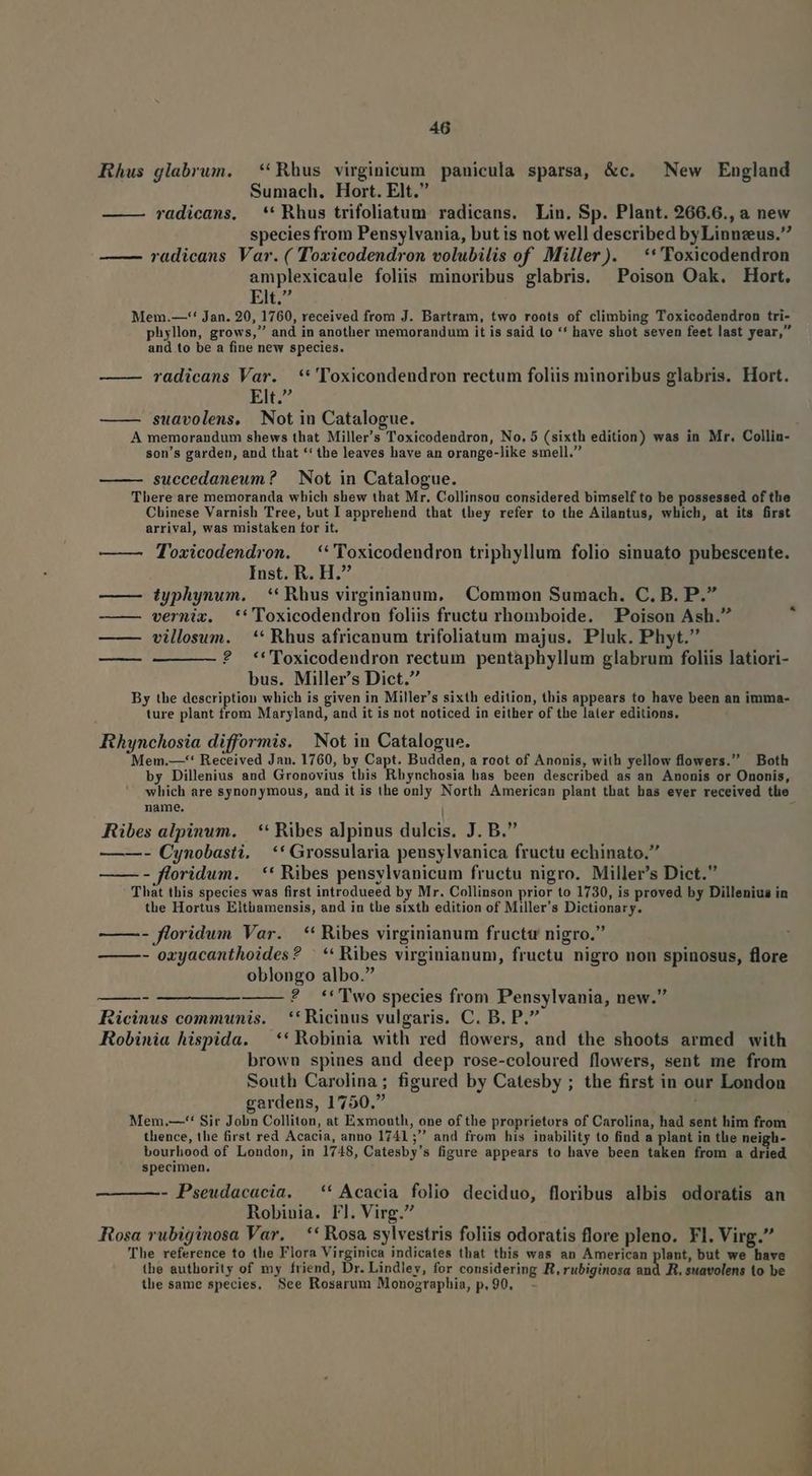 Rhus glabrum. *Rhus virginicum panicula sparsa, &c. New England Sumach. Hort. Elt. radicans, — ** Rhus trifoliatum radicans. Lin. Sp. Plant. 266.6., a new species from Pensylvania, but is not well described byLinnzeus. —— vadicans Var. ( Toxicodendron volubilis of Miller). **'Yoxicodendron amplexicaule foliis minoribus glabris. Poison Oak. Hort. Elt. Mem.—-** Jan. 20, 1760, received from J. Bartram, two roots of climbing Toxicodendron tri- phyllon, grows, and in another memorandum it is said to ** have shot seven feet last year, and to be a fine new species. radicans Var. **'Toxicondendron rectum foliis minoribus glabris. Hort. EI: suavolens, Not in Catalogue. À memorandum shews that Miller's Toxicodendron, No, 5 (sixth edition) was in Mr. Collin- son's garden, and that *' the leaves have an orange-like smell. succedaneum? | Not in Catalogue. There are memoranda which shew that Mr. Collinsou considered bimself to be possessed of the Chinese Varnish Tree, but I apprehend that they refer to the Ailantus, which, at its first arrival, was mistaken for it. T'oxicodendron. — **'l'oxicodendron triphyllum folio sinuato pubescente. Inst. R. H. typhynum. — ** Rhus virginianum. Common Sumach. C. B. P. vernix. *''Toxicodendron foliis fructu rhomboide. Poison Ash. villosum. —** Rhus africanum trifoliatum majus. Pluk. Phyt. ? -*''Toxicodendron rectum pentaphyllum glabrum foliis latiori- bus. Miller's Dict. By the description which is given in Miller's sixth edition, this appears to have been an imma- ture plant from Maryland, and it is not noticed in either of the later editions. I Rhynchosia difformis. Not in Catalogue. Mem.—** Received Jan. 1760, by Capt. Budden, a root of Anonis, with yellow flowers. Both by Dillenius and Gronovius tbis Rhynchosia has been described as an Anonis or Ononis, which are synonymous, and it is the only North American plant that has ever received tlie name. ! Ribes alpinum. | ** Ribes alpinus dulcis. J. B. —-—- Cynobasti. | ** Grossularia pensylvanica fructu echinato. —— - floridum. — ** Ribes pensylvanicum fructu nigro. Miller's Dict. That this species was first introdueed by Mr. Collinson prior to 1730, is proved by Dillenius in the Hortus Elthamensis, and in the sixth edition of Miller's Dictionary. ——- floridum Var. — ** Ribes virginianum fructu nigro. - oryacanthoides? '*' Ribes virginianum, fructu nigro non spinosus, flore oblongo albo. ? *''Two species from Pensylvania, new. Ricinus communis. | ** Ricinus vulgaris. C. B. P. Robinia hispida. —** Robinia with red flowers, and the shoots armed with brown spines and deep rose-coloured flowers, sent me from South Carolina; figured by Catesby ; the first in our London gardens, 1750. Mem.—-* Sir Jobn Colliton, at Exmouth, one of the proprietors of Carolina, had sent him from thence, the first red Acacia, anno 1741 ; and from his inability to find a plant in the neigh- bourhood of London, in 1748, Catesby's figure appears to have been taken from a dried specimen. - Pseudacacia. —*'* Acacia folio deciduo, floribus albis odoratis an Robinia. Fl. Virg. Rosa rubiginosa Var. — ** Rosa sylvestris foliis odoratis flore pleno. Fl. Virg. The reference to the Flora Virginica indicates that this was an American plant, but we have the authority of my friend, Dr. Lindley, for considering R,rubiginosa and R, suavolens (o be the same species, See Rosarum Monographia, p. 90,