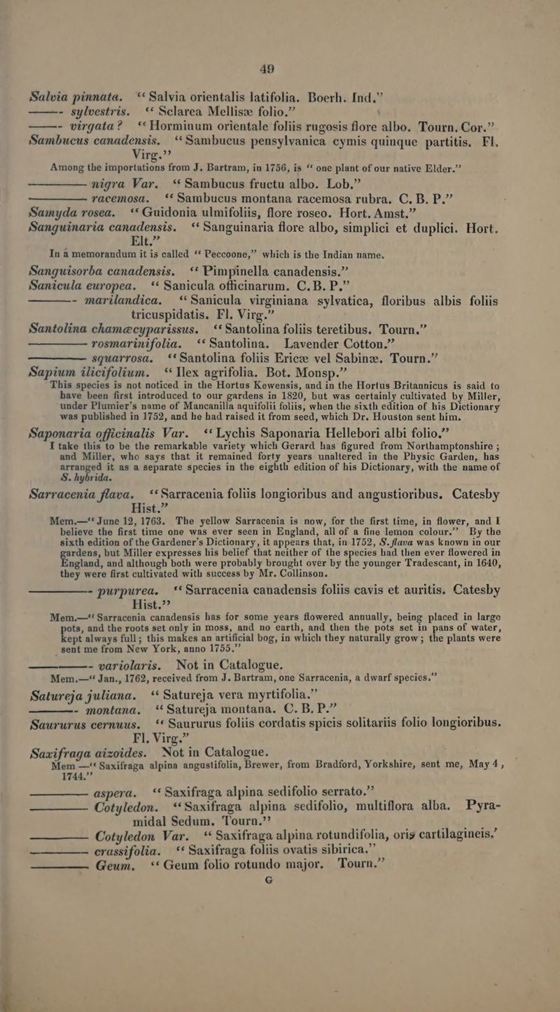 Salvia pinnata. — ** Salvia orientalis latifolia. Doerh. Ind. - sylvestris. —** Sclarea Mellisze folio. - virgata? ** Horminum orientale foliis rugosis flore albo. Tourn. Cor. Sambucus canadensis. **Sambucus pensylvanica cymis quinque partitis, Fl. Virg.^ Among the importations from J. Bartram, in 1756, is ** one plant of our native Elder. nigra Var. ** Sambucus fructu albo. Lob. racemosa. ** Sambucus montana racemosa rubra. C. D. P. Saimyda rosea. — ** Guidonia ulmifoliis, flore roseo. Hort. Amst. Sanguinaria y^ Wy ** Sanguinaria flore albo, simplici et duplici. Hort. E In à memorandum it is called ** Peccoone, which is the Indian name. Sanguisorba canadensis. ** Pimpinella canadensis. Sanicula europea. —** Sanicula officinarum. C. B. P. - marilandica. **Sanicula virginiana sylvatica, floribus albis foliis tricuspidatis. Fl. Virg. Santolina chamccyparissus. | ** Santolina foliis teretibus. Tourn. rosmarinifolia. **Santolina. Lavender Cotton. squarrosa. *'Santolina foliis Ericze vel Sabinze, Tourn. Sapium ilicifolium. **llex agrifolia. Bot. Monsp. This species is not noticed in the Hortus Kewensis, and in the Hortus Britannicus is said to bave been first introduced to our gardens in 1820, but was certainly cultivated by Miller, under Plumier's name of Mancanilla aquifolii foliis, when tlie sixth edition of his Dictionary was published in 1752, and he had raised it from seed, which Dr. Houston sent him. Saponaria officinalis Var. ** Lychis Saponaria Hellebori albi folio, Itake this to be the remarkable variety which Gerard has figured from Northamptonshire ; and Miller, who says that it remained forty years unaltered in the Physic Garden, has arranged it as a separate species in the eighth edition of his Dictionary, with the name of SS. hybrida. Sarracenia flava. | ** Sarracenia foliis longioribus and angustioribus, Catesby Hist. Mem.—'*June 12, 1763. The yellow Sarracenia is now, for the first time, in flower, and I believe the first time one was ever seen in England, all of a fine lemon colour. By the sixth edition of the Gardener's Dictionary, it appears that, in 1752, S. flava was known in our rdens, but Miller expresses his belief that neither of the ye had then ever flowered in ngland, and although both were probably brought over by the younger Tradescant, in 1640, they were first cultivated with success by Mr. Collinson. - purpurea, *'Sarracenia canadensis foliis cavis et auritis. Catesby Hist.^? Mem.—-*' Sarracenia canadensis has for some years flowered annually, being placed in large ots, and the roots set only in moss, and no earth, and then the pots set in pans of water, Les always full; this makes an artificial bog, in which they naturally grow ; the plants were sent me from New York, anno 1755. - variolaris. Not in Catalogue. Mem. —-* Jan., 1762, received from J. Bartram, one Sarracenia, a dwarf species. Satureja juliana. —** Satureja vera myrtifolia. - montana. 'Satureja montana. C. B. P. Saururus cernuus. — ** Saururus foliis cordatis spicis solitariis folio longioribus. Fl. Virg. Saxifraga aizoides. Not in Catalogue. Mem —-* Saxifraga alpina angustifolia, Brewer, from Bradford, Yorkshire, sent me, May 4, 1744. aspera. ** Saxifraga alpina sedifolio serrato. Cotyledon. **Saxifraga alpina sedifolio, multiflora alba. Pyra- midal Sedum. Tourn. DER Cotyledon Var. — ** Saxifraga alpina rotundifolia, oris cartilagineis. erassifolia. —** Saxifraga foliis ovatis sibirica. Geum, ** Geum folio rotundo major. Tourn. [-