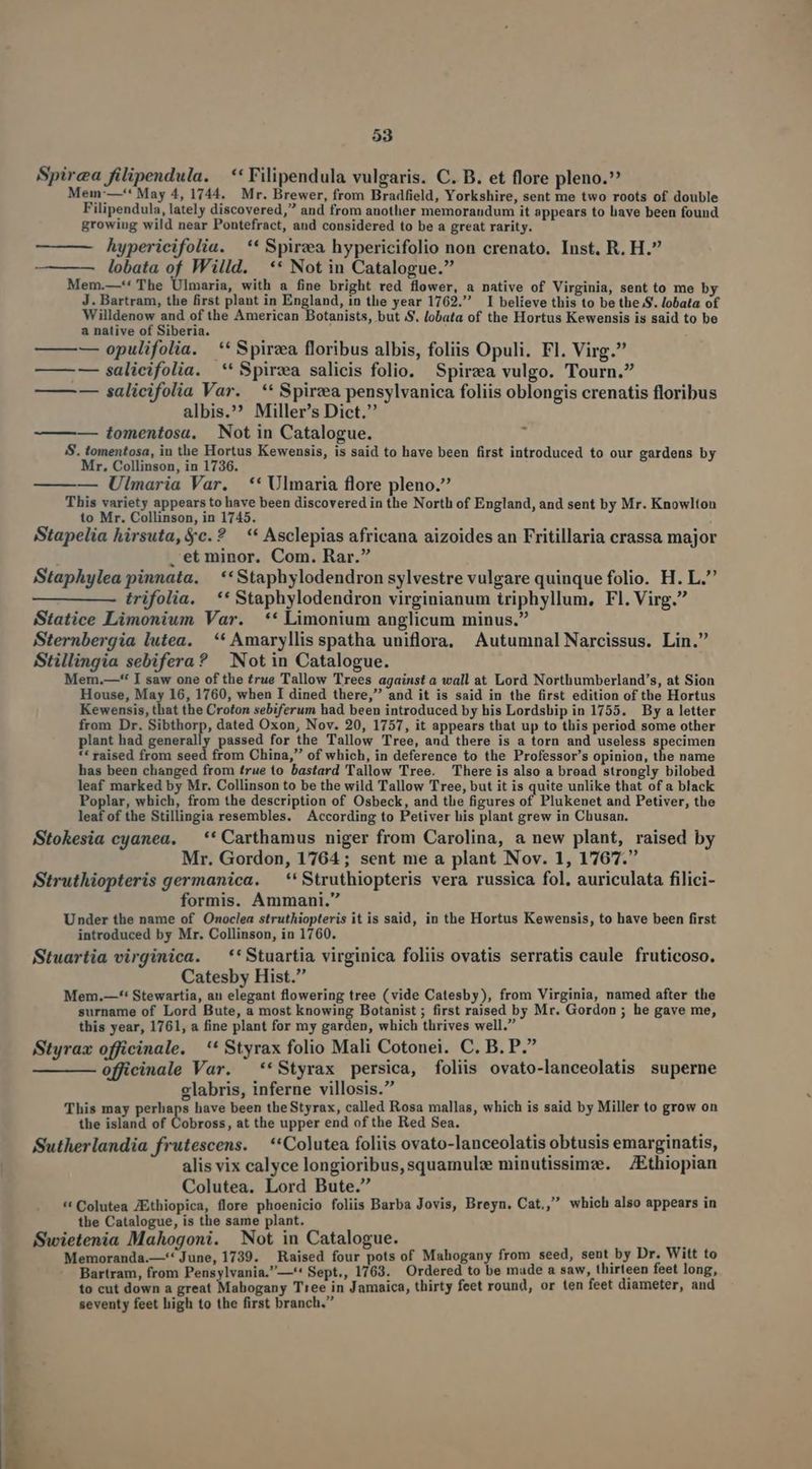 CE Lui Spirea filipendula. ** Filipendula vulgaris. C. B. et flore pleno. Mem:—-** May 4, 1744. Mr. Brewer, from Bradfield, Yorkshire, sent me two roots of double Filipendula, lately discovered, and from another memorandum it appears to bave been found growing wild near Pontefract, and considered to be a great rarity. hypericifolia. —** Spirzea hypericifolio non crenato. Inst. R. H. ———— lobata of Willd. ** Not in Catalogue. Mem.—'* The Ulmaria, with a fine bright red flower, a native of Virginia, sent to me by J. Bartram, the first plant in England, in the year 1762. I believe this to be the S. lobata of Willdenow and of the American Botanists, but S. lobata of the Hortus Kewensis is said to be a native of Siberia. ——— — salicifolia. ** Spirza salicis folio. Spirza vulgo. Tourn. — —— salicifolia Var. —** Spirza pensylvanica foliis oblongis crenatis floribus S. tomentosa, in the Hortus Kewensis, is said to have been first introduced to our gardens by Mr. Collinson, in 1736. : ———— Ulmaria Var. ** Ulmaria flore pleno. This variety appears to have been discovered in the North of England, and sent by Mr. Knowlton to Mr. Collinson, in 1745. Stapelia hirsuta, &c. ? — ** Asclepias africana aizoides an Fritillaria crassa major . et minor. Com. Rar. Staphylea pinnata. | **Staphylodendron sylvestre vulgare quinque folio. H. L. trifolia. ** Staphylodendron virginianum iriphyllum, Fl. Virg. Statice Limonium Var. ** Limonium anglicum minus. Sternbergia lutea. — ** Amaryllis spatha uniflora, | Autumnal Narcissus. Lin. Mem.—* I saw one of the true Tallow Trees against a wall at Lord Northumberland's, at Sion House, May 16, 1760, when I dined there, and it is said in the first edition of the Hortus Kewensis, that the Croton sebiferum had been introduced by his Lordship in 1755. By a letter from Dr. Sibthorp, dated Oxon, Nov. 20, 1757, it appears that up to this period some other plant had generally passed for the Tallow Tree, and there is a torn and useless specimen ** raised from seed from China, of which, in deference to the Professor's opinion, the name has been changed from true to bastard Tallow Tree. There is also a broad strongly bilobed leaf marked by Mr. Collinson to be the wild Tallow Tree, but it is quite unlike that of a black Poplar, which, from the description of Osbeck, and the figures of Plukenet and Petiver, the leaf of the Stillingia resembles. According to Petiver his plant grew in Chusan. Stokesia cyanea, — ** Carthamus niger from Carolina, a new plant, raised by Mr. Gordon, 1764; sent me a plant Nov. 1, 1767. Struthiopteris germanica. — ** Struthiopteris vera russica fol. auriculata filici- formis. Ammani. Under the name of Onoclea struthiopteris it is said, in the Hortus Kewensis, to have been first introduced by Mr. Collinson, in 1760. Stuartia virginica. —*'Stuartia virginica foliis ovatis serratis caule fruticoso. Catesby Hist. Mem.—-*' Stewartia, an elegant flowering tree (vide Catesby), from Virginia, named after the surname of Lord Bute, a most knowing Botanist ; first raised by Mr. Gordon ; he gave me, this year, 1761, a fine plant for my garden, which thrives well. Styrax officinale. ** Styrax folio Mali Cotonei. C. B. P.? —— — officinale Var. —**Styrax persica, foliis ovato-lanceolatis superne glabris, inferne villosis. This may perhaps have been theStyrax, called Rosa mallas, which is said by Miller to grow on the island of Cobross, at the upper end of the Red Sea. Sutherlandia frutescens. — **Colutea foliis ovato-lanceolatis obtusis emarginatis, alis vix calyce longioribus, squamulz minutissimz. — /Ethiopian Colutea. Lord Bute. L : *t Colutea ZEthiopica, flore phoenicio foliis Barba Jovis, Breyn. Cat, which also appears in the Catalogue, is the same plant. Swietenia Mahogoni. Not in Catalogue. ; Memoranda.—** June, 1739. Raised four pots of Mahogany from seed, sent by Dr. Witt to Bartram, from Pensylvania.—** Sept., 1763. Ordered to be made a saw, thirteen feet long, to cut down a great Mahogany Tree in Jamaica, thirty feet round, or ten feet diameter, and seventy feet high to the first branch.