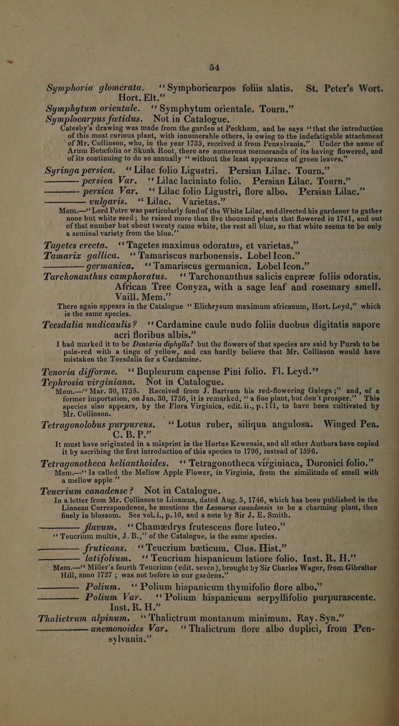 94 Symphoria glomerata. — **Symphoricarpos folis alatis. St. Peter's Wort. Hort, Elt. Symphytum orientale. | ** Symphytum orientale. Tourn. Symplocarpus fotidus. Not iu Catalogue. Catesby's drawing was made from the garden at Peckham, and he says *'that the introduction of this most curious plant, with innumerable others, is owing to the indefatigable attachment of Mr. Collinson, who, in the year 1735, received it from Pensylvania, Under the name of Arum Betzefolia or Skunk Root, there are numerous memoranda of its having flowered, and of its continuing to do so annually ** without the least appearance of green leaves. Syringa persica. **Lilac folio Ligustri. Persian Lilac. Tourn. - persica Var. **Lilaclaciniato folio. Persian Lilac. Tourn. ————- persica Var. ** Lilac folio Ligustri, flore albo. Persian Lilac. vulgaris. **Lilac. Varietas. Mem.—-* Lord Petre was particularly fond of the White Lilac, and directed his gardener to gather none but white seed ; he raised more than five thousand plants that flowered in 1741, and out of that number but about twenty came white, the rest all blue, so that white seems to be only a seminal variety from the blue.' T'agetes erecta. **'T'agetes maximus odoratus, et varietas. Tamarix gallica. **'lamariscus narbonensis. Lobel Icon. germanica, **Tamariscus germanica. Lobellcon. Tarchonanthus camphoratus. — ** 'archonanthus salicis capreze foliis odoratis. African Tree Conyza, with a sage leaf and rosemary smell. Vaill. Mem. There again appears in the Catalogue ** Elichrysum maximum africanum, Hort. Leyd, which is the same species. T'eesdalia nudicaulis? | ** Cardamine caule nudo foliis duobus digitatis sapore acri floribus albis. I had marked it to be .Dentaria diphylla? but the flowers of that species are said by Pursh to be pale-red with a tinge of yellow, and can hardly believe that Mr. Collinson would have mistaken the Teesdalia for a Cardamine. Tenoria difforme. ** Bupleurum capense Pini folio. Fl. Leyd.? Tephrosia virginiana. . Not in Catalogue. Mem.—'* Mar. 30,1758. Received from J. Bartram his red-flowering Galega; and, of a former importation, on Jan, 30, 1756, it is remarked, ** a CE don't prosper. Fhis species also appears, by the Flora Virginica, edit.ii., p.1ll, to bave been cultivated by Mr. Collinson. [ Tetragonolobus purpureus. **Lotus ruber, siliqua angulosa. Winged Pea. C. B. P. It must have originated in a misprint in the Hortus Kewensis, and all other Authors have copied it by ascribing the first introduction of this species to 1796, instead of 1596. Tetragonotheca helianthoides. ** Tetragonotheca virginiaca, Doronici folio. Mem.—*''Is called the Mellow Apple Flower, in Virginia, from the similitude of smell with a mellow apple. Teucrium canadense? | Not in Catalogue. Linnean Correspondence, he mentions the Leonurus cauadensis to be a charming plant, then finely in blossom. | See vol. i., p. 16, and a note by Sir J. E. Smith. avum. **Chamedrys frutescens flore luteo. ** Teucrium multis, J. B., of the Catalogue, is the same species. fruticans. | ** Teucrium bzticum. Clus. Hist. latifolium. | ** 'Teucrium hispanicum latiore folio. Inst. R. H.^ — Mem.—-'* Miller's fourth Teucrium (edit. seven), brought by Sir Charles Wager, from Gibraltar Hill, anno 1727 ; was not before in our gardens, Poliwn. | ** Polium hispanicum thymifolio flore albo. Polium Var. **Polium hispanicum serpyllifolio purpurascente. Inst, R. H. Thalictrum alpinum. **'Thalictrum montanum minimum. Ray.Syn. ——— anemonoides Var, — **'Thalictrum flore albo duplici, from Pen- »