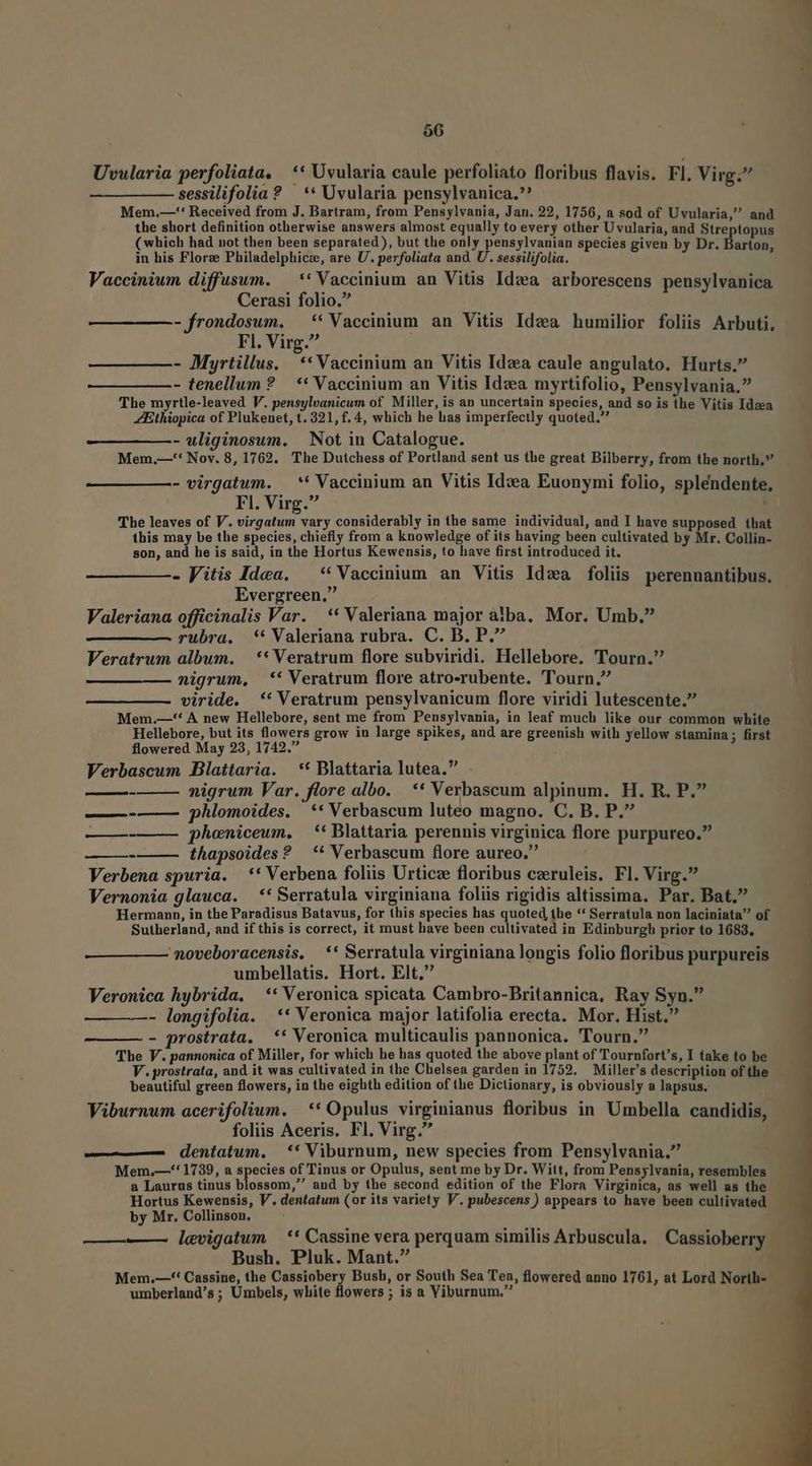 566 Uvularia perfoliata. ** Uvularia caule perfoliato floribus flavis. Fl. Virg. sessilifolia? — ** Uvularia pensylvanica.? Mem.—-'* Received from J. Bartram, from Pensylvania, Jan. 22, 1756, a sod of Uvularia, and the short definition otherwise answers almost equally to every other Uvularia, and Stre topus (which had not then been separated), but the only pensylvanian species given by Dr. Barton, in his Flore Philadelphicz, are U. perfoliata and. U. sessilifolia. Vaccinium diffusum. — ** Vaccinium an Vitis Idea arborescens pensylvanica Cerasi folio. -frondosum. ** Vaccinium an Vitis Idea humilior foliis Arbuti, Fl. Virg. - Myrtillus. ** Vaccinium an Vitis Idea caule angulato. Hurts. - tenellum ? ** Vaccinium an Vitis Idva myrtifolio, Pensylvania. The myrtle-leaved V. pensylvanicum of Miller, is an uncertain species, and so is the Vitis Idza ZEthiopica of Plukenet, t. 321, f. 4, which he has imperfecily quoted, - uliginosum. | Not in Catalogue. Mem.—-** Nov. 8, 1762. The Dutchess of Portland sent us the great Bilberry, from the north. - virgatum. — ** Vaccinium an Vitis Idea Euonymi folio, splendente, Fl. Virg. The leaves of V. virgatum vary considerably in the same individual, and I have supposed that this may be the species, chiefly from a knowledge of its having been cultivated by Mr. Collin- son, and he is said, in the Hortus Kewensis, to have first introduced it. - Vitis Idea. — * Vaccinium an Vitis Idwa foliis perenuantibus. Evergreen, Valeriana officinalis Var. ** Valeriana major alba. Mor. Umb. rubra. ** Valeriana rubra. C. B. P. Veratrum album. |. ** Veratrum flore subviridi. Hellebore. Tourn. nigrum, ** Veratrum flore atro-rubente. Tourn, viride. ** Veratrum pensylvanicum flore viridi lutescente. Mem.—'' A new Hellebore, sent me from Pensylvania, in leaf much like our common white Hellebore, but its flowers grow iu large spikes, and are greenish with yellow stamina; first flowered May 23, 1742. Verbascum Blattaria. ** Blattaria lutea. nigrum Var. flore albo. ** Verbascum alpinum. H. R. P. ——-—— phlomoides. ** Verbascum luteo magno. C, B. P. — -——— gpheniceum. ** Blattaria perennis virginica flore purpureo. - thapsoides? ** Verbascum flore aureo, Verbena spuria. ** Verbena foliis Urticze floribus czeruleis. Fl. Virg. Vernonia glauca. —** Serratula virginiana foliis rigidis altissima. Par. Bat. Hermann, in the Paradisus Batavus, for this species has quoted, the ** Serratula non laciniata of Sutherland, and if this is correct, it must have been cultivated in Edinburgh prior to 1683. 'moveboracensis. —** Serratula virginiana longis folio floribus purpureis umbellatis. Hort. Elt, Veronica hybrida. | ** Veronica spicata Cambro-Britannica, Ray Syn. - longifolia. ** Veronica major latifolia erecta. Mor. Hist. - prostrata. ** Veronica multicaulis pannonica. Tourn. The V. pannonica of Miller, for which he has quoted the above plant of Tournfort's, I take to be V.prostrata, and it was cultivated in the Chelsea garden in 1752. Miller's description of the beautiful green flowers, in the eighth edition of the Dictionary, is obviously a lapsus. Viburnum acerifolium. ** Opulus virginianus floribus in Umbella candidis, foliis Aceris. Fl. Virg. dentatum. — ** Viburnum, new species from Pensylvania. Mem,.—-* 1739, a species of Tinus or Opulus, sent me by Dr. Witt, from Pensylvania, resembles a Laurus tinus blossom, and by the second edition of the Flora Virginica, as well as the Hortus Kewensis, V. dentatum (or its variety V. pubescens ) appears to have been cultivated by Mr. Collinson, — ——À levigatum — ** Cassine vera perquam similis Arbuscula. Cassioberry Bush. Pluk. Mant. Mem.—-*' Cassine, the Cassiobery Bush, or South Sea Tea, flowered anno 1761, at Lord North- umberland's; Umbels, white flowers ; is a Viburnum,