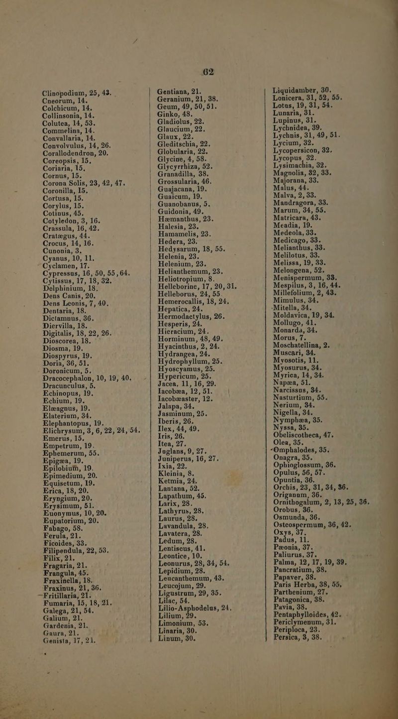 Cneorum, 14. Colchicum, 14. Collinsonia, 14. Colutea, 14, 53. Commelina, 14. Convallaria, 14. Convolvulus, 14, 26. Corallodendron, 20. Coreopsis, 15. Coriaria, 15, Cornus, 15. Corona Solis, 23, 42, 4T. Coronilla, I5, Cortusa, 15. Corylus, 15. Cotinus, 45. Cotyledon, 3, 16. Crassula, 16, 42. Crateegus, 44. Crocus, 14, 16. Cunonia, 3. Cyanus, 10, 11. Cyclamen, 17. Cypressus, 16, 50, 55,64. C ytissus, 17, 18, 32. Delphinium, 18. Dens Canis, 20. Dens Leonis, 7, 40. Dentaria, 18. Dictamnus, 36. Diervilla, 18. Digitalis, 18, 22, 26. Dioscorea, 18. Diosma, 19. Diospyrus, 19. Doria, 36, 51. Doronicum, 5. Dracocephalon, 10, 19, 40. Dracunculus, 5. Echinopus, 19. Echium, 19. Elszagnus, 19. Elaterium, 34. Elephantopus, 19. Elichrysum, 8, 6, 22, 24, 54. Emerus, 15. Empetrum, 19. Ephemerum, 55. Epigza, 19. Epilobiui, 19. Epimedium, 20. Equisetum, 19. Erica, 18, 20. Eryngium, 20. Erysimum, 51. Euonymus, 10, 20. Eupatorium, 20. Fabago, 58. Ferula, 21. Ficoides, 33. Filipendula, 22, 53. Filix, 21. Fragaria, 21. Frangula, 45. Fraxinella, 18. Fraxinus, 21, 36. —Fritillaria, 21. Fumaria, 15, 18, 21. Galega, 21, 54. Galium, 21. Gardenia, 21. Gaura, 21. Genista, 17, 21. 62 Geranium, 21, 38. Geum, 49, 50,51. Ginko, 48. Gladiolus, 22. Glaucium, 22, Glaux, 22. Gleditschia, 22. Globularia, 22. Glycine, 4, 58. Glycyrrhiza, 52. Granadilla, 38. Grossularia, 46. Guajacana, 19. Guaicum, 19. Guanobanus, 5. Hamanthus, 23. Halesia, 23. Hamamelis, 23. Hedera, 23. Hedysarum, 18, 55. Helenia, 23. Helenium, 23. Helianthemum, 23. Heliotropium, 8. Helleborus, 24, 55. Hemerocallis, 18, 24, Hepatica, 24. Hermodactylus, 26. Hesperis, 24. Hieracium, 24. Horminum, 48, 49. Hyacinthus, 2, 24. Hydrangea, 24. Hydrophyllum, 25. Hyoscyamus, 25. Hypericum, 25. Jacea, 11, 16, 29. Iacobza, 12, 51. Iacobzeaster, 12. Jalapa, 34. Jasminum, 25. Iberis, 26. Ilex, 44, 49. Iris, 26. Itea, 27. Juglans, 9, 27. Juniperus, 16, 27. Ixia, 22. Kleinia, 8. Ketmia, 24. Lantana, 52. Lapathum, 43. Larix, 28. Lathyrus, 28. Laurus, 28. Lavandula, 28. Lavatera, 28. Ledum, 28. Lentiscus, 41. Leontice, 10. Leonurus, 28, 34, 54. Lepidium, 28. Leucanthemum, 43. Leucojum, 29. Ligustrum, 29, 35. Lilac, 54. Lilio- Asphodelus, 24, Lilium, 29. Limonium, 53. Linaria, 30. Linum, 30. Liquidamber, 30. Lonicera, 31, 52, 55. Lotus, 19, 31, 54. Lunaria, 81. Lupinus, 31. Lychnidea, 39. Lychnis, 31, 49, 51. Lycium, 32. Lycopersicon, 32, Lycopus, 32. Lysimachia, 32. Magnolia, 82, 33. Majorana, 33. Malus, 44. Malva, 2, 33. Mandragora, 33. Marum, 34, 55. Matricara, 43. Meadia, 19. Medeola, 33. Medicago, 33. Melianthus, 33. Melilotus, 33. Melissa, 19, 33. Melongena, 52. Menispermum, 33. Mespilus, 3, 16, 44. Millefolium, 2, 43. Mimulus, 34. -Mitella, 34. Moldavica, 19, 34. Mollugo, 41. Monarda, 34. Morus, 7. Moschatellina, 2. Muscari, 34. Myvosotis, 11. Myosurus, 34. M rica, 14, 34. Napza, 51. Narcissus, 34. Nasturtium, 55. Nerium, 34. Nigella, 34. Nympha, 35. Nyssa, 35. Obeliscothate! AT. Olea, 35. *Omphalodes, 35. Onagra, 35. Ophioglossum, 36. Opulus, 56, 57. Opuntia, 36. Orchis, 23, 31, 34, 36. Origanum, 36. Ornithogalum, 2, 13, 25, 36, Orobus, 36. Osmunda, 36. Osteospermum, 36, 42. Oxys, 37. í Padus, 11. Pzonia, 37. Paliurus, 37. Palma, 12, 17, 19, 39, Pancratium, 38. Papaver, 38. Paris Herba, 38, 55, Parthenium, 27. Patagonica, 38. Pavia, 38. Pentaphylloides, 42. Periclymenum, 31. Periploca, 23. Persica, 3, 38.