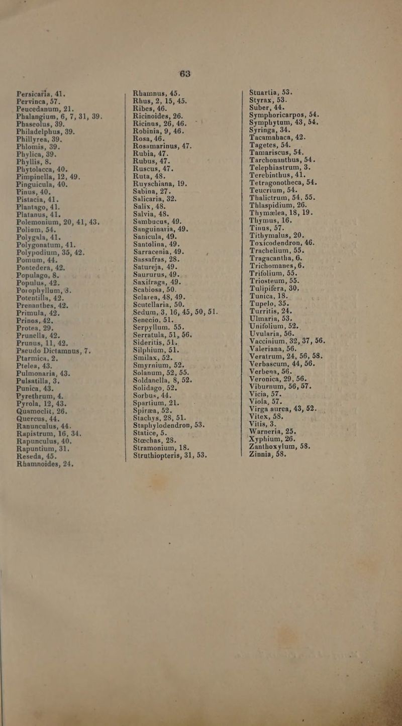 Persicaila, 41. Pervinca, 57. Peucedanum, 21. Phaseolus, 39. Philadelphus, 39. Phillyrea, 39. Phlomis, 39. Phylica, 39. Phyllis, 8. Phytolacca, 40. Pimpinella, 12, 49. Pinguicula, 40. Pinus, 40. Pistacia, 41. Plantago, 41. Platanus, 41, Polemonium, 20, 41, 43. Poliom, 54. Polygala, 41. Polygonatum, 41. Polypodium, 35, 42. Pomum, 44. Pontedera, 42, . Populago, 8. Populus, 42. Porophyllum, 3. Potentilla, 42, Prenanthes, 42. Primula, 42, Prinos, 42. Protea, 29, Prunella, 42. Prunus, 11, 42, Pseudo Dictamnus, 7. Ptarmica, 2. Ptelea, 43. Pulmonaria, 43. Pulsatilla, 3. Punica, 43. Pyrethrum, 4. Pyrola, 12, 43. Quamoclit, 26. Quercus, 44. Ranunculus, 44. Rapistrum, 16, 34. Rapunculus, 40, Rapuntium, 31. Reseda, 45. Rhamnoides, 24, 63 Rhamnus, 45. Rhus, 2, 15, 45. Ribes, 46. Ricinoides, 26. Ricinus, 26, 46. Robinia, 9, 46. Rosa, 46. Rosamarinus, 47. Rubia, 47. Rubus, 47. Ruscus, 47. Ruta, 48. Ruyschiana, 19. Sabina, 27. Salicaria, 32. Salix, 48. Salvia, 48. Sambucus, 49. Sanguinaria, 49, Sanicula, 49. Santólina, 49. Sarracenia, 49. ; Sassafras, 28. Satureja, 49. Saururus, 49. Saxifraga, 49. Scabiosa, 50. Sclarea, 48, 49. Scutellaria, 50. Senecio, 51. Serpyllum. 55. Serratula, 51, 56. Sideritis, 51, Silphium, 51. Smilax, 52. Smyrnium, 52. Solanum, 52, 55. Soldanella, 8, 52. Solidago, 52. Sorbus, 44. Spartium, 21. Spirza, 52. Stachys, 28, 51. Stapliylodendron, 53. Statice, 5. Steechas, 28. Stramonium, 18. Struthiopteris, 31, 53. Stuartia, 53. Styrax, 53. Suber, 44. Symphoricarpos, 54. Symphytum, 43, 54, Syringa, 34. Tacamahaca, 42. Tagetes, 54. Tamariscus, 54. 'Tarchonanthus, 54. Telephiastrum, 3. Terebinthus, 41. Tetragonotheca, 54. Teucrium, 54. Thalictrum, 54, 55. Thlaspidium, 26. Thymselea, 18, 19. Thymus, 16. Tinus, 57. Tithymalus, 20. Toxicodendron, 46 Trachelium, 55. Tragacantha, 6. Trichomanes, 6. Trifolium, 55. Triosteum, 55. Tulipifera, 30, Tunica, 18. Tupelo, 35. Turritis, 24. Ulmaria, 53. Unifolium, 52. Uvularia, 56. Vaccinium, 32, 37, 56. Valeriana, 56. Veratrum, 24, 56, 58. Verbascum, 44, 56. Verbena, 56. Veronica, 29, 56. Viburnum, 56,57. Vicia, 57. Viola, 57. Virga aurea, 43, 52. Vitex, 58, Vitis, 3. Warneria, 25. Xyphium, 26. Zanthox ylum, 58. Zinnia, 58.