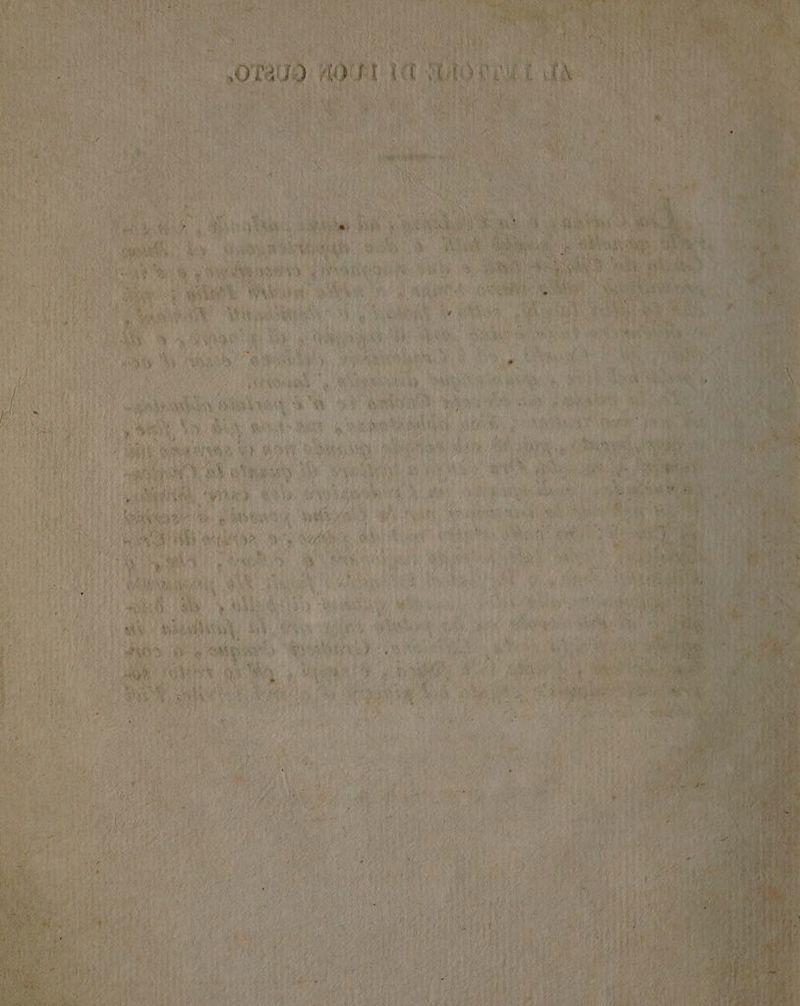 IIS i nen dg MISS i iL isldala eh ROIO) i Volpe i ig g ORTO Mm