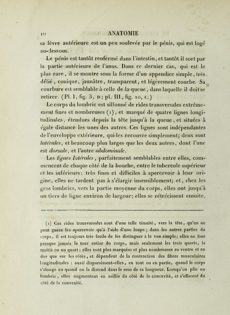 ,o ANATOMIE sa lèvre antérieure est un peu soulevée par le pénis, qui est logé au-dessous. Le pénis est tantôt renfermé dans l’intestin, et tantôt il sort par la partie antérieure de l’anus. Dans ce dernier cas, qui est le plus rare , il se montre sous la forme d’un appendice simple, très délié, conique, jaunâtre, transparent, et légèrement courbe. Sa courbure est semblable à celle de la’queue, dans laquelle il doit se retirer. (PI. I, fig. 3, d; pl. III, fig. io, c.) Le corps du lombric est sillonné de rides transversales extrême- ment fines et nombreuses (i), et marqué de quatre lignes longi- tudinales, étendues depuis la tête jusqu’à la queue, et situées à égale distance les unes des autres. Ces lignes sont indépendantes de l’enveloppe extérieure, qui les recouvre simplement; deux sont latérales, et beaucoup plus larges que les deux autres, dont l’une est dorsale, et l’autre abdominale. Les lignes latérales, parfaitement semblables entre elles, com- mencent de chaque côté de la bouche, entre le tubercule supérieur et les inférieurs; très fines et difficiles à apercevoir à leur ori- gine, elles ne tardent pas à s’élargir insensiblement; et, chez les gros lombrics, vers la partie moyenne du corps, elles ont jusqu’à un tiers de ligne environ de largeur; elles se rétrécissent ensuite, (1) Ces rides transversales sont d’une telle ténuité, vers la tête, qu’on ne peut guère les apercevoir qu’à l’aide d’une loupe ; dans les autres parties du corps, il est toujours très facile de les distinguer à la vue simple; elles ne font presque jamais le tour entier du corps, mais seulement les trois quarts, la moitié ou un quart; elles sont plus marquées et plus nombreuses au ventre et au dos que sur les côtés, et dépendent de la contraction des fibres musculaires longitudinales : aussi disparaissent-elles, en tout ou en partie, quand le corps s’alonge ou quand on le distend dans le sens de sa longueur. Lorsqu’on plie un lombric , elles augmentent en saillie du côté de la concavité, et s’effacent du côté de la convexité.