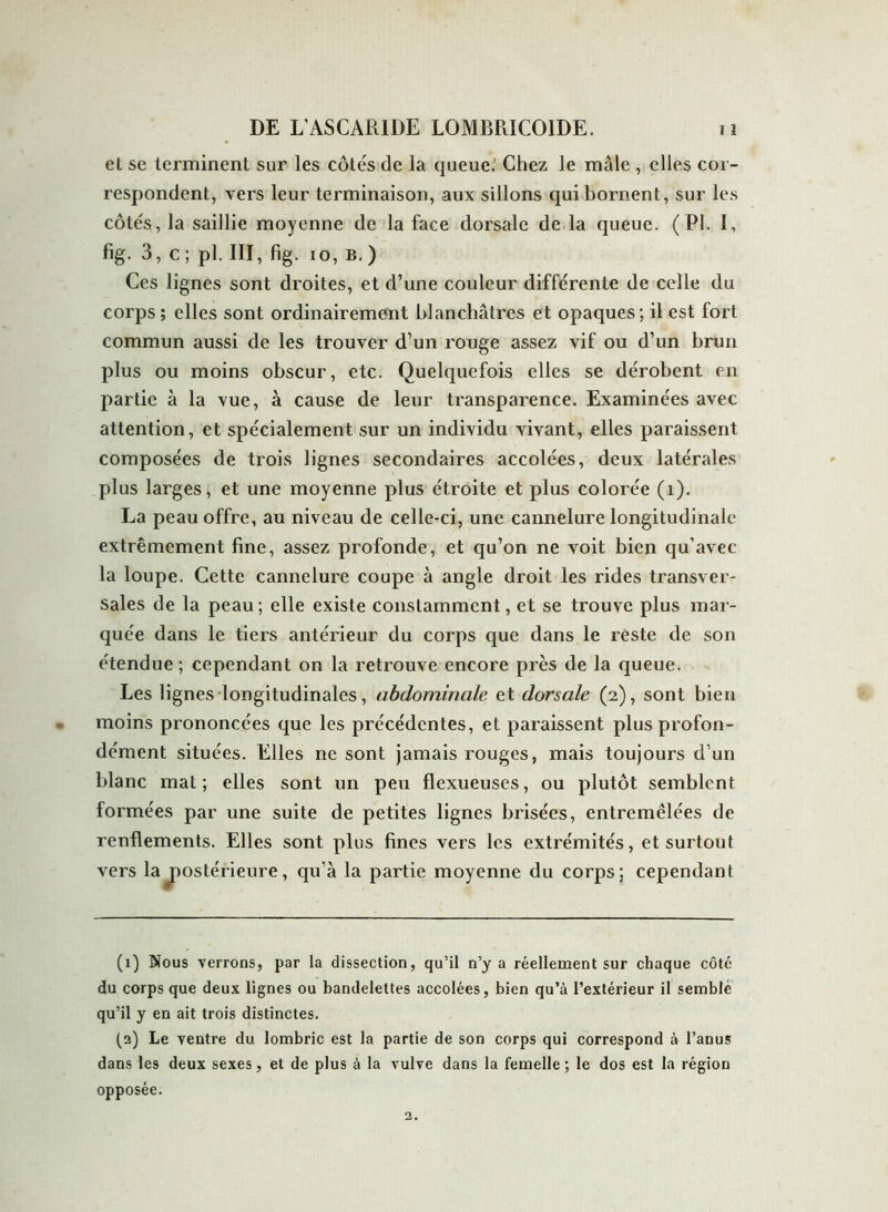 et se terminent sur les côtés de la queue. Chez le mâle , elles cor- respondent, vers leur terminaison, aux sillons qui bornent, sur les côtés, la saillie moyenne de la face dorsale de la queue. (PI. I, fïg. 3, c; pl. III, fig. io, b.) Ces lignes sont droites, et d’une couleur différente de celle du corps; elles sont ordinairement blanchâtres et opaques; il est fort commun aussi de les trouver d’un rouge assez vif ou d’un brun plus ou moins obscur, etc. Quelquefois elles se dérobent en partie à la vue, à cause de leur transparence. Examinées avec attention, et spécialement sur un individu vivant, elles paraissent composées de trois lignes secondaires accolées, deux latérales plus larges, et une moyenne plus étroite et plus colorée (î). La peau offre, au niveau de celle-ci, une cannelure longitudinale extrêmement fine, assez profonde, et qu’on ne voit bien qu’avec la loupe. Cette cannelure coupe à angle droit les rides transver- sales de la peau; elle existe constamment, et se trouve plus mar- quée dans le tiers antérieur du corps que dans le rèste de son étendue ; cependant on la retrouve encore près de la queue. Les lignes longitudinales, abdominale et dorsale (2), sont bien moins prononcées que les précédentes, et paraissent plus profon- dément situées. Elles ne sont jamais rouges, mais toujours d'un blanc mat; elles sont un peu flexueuses, ou plutôt semblent formées par une suite de petites lignes brisées, entremêlées de renflements. Elles sont plus fines vers les extrémités, et surtout vers la postérieure, qu’à la partie moyenne du corps; cependant (1) Nous verrons, par la dissection, qu’il n’y a réellement sur chaque côté du corps que deux lignes ou bandelettes accolées, bien qu’à l’extérieur il semblé qu’il y en ait trois distinctes. (2) Le ventre du lombric est la partie de son corps qui correspond à l’anus dans les deux sexes, et de plus à la vulve dans la femelle; le dos est la région opposée.