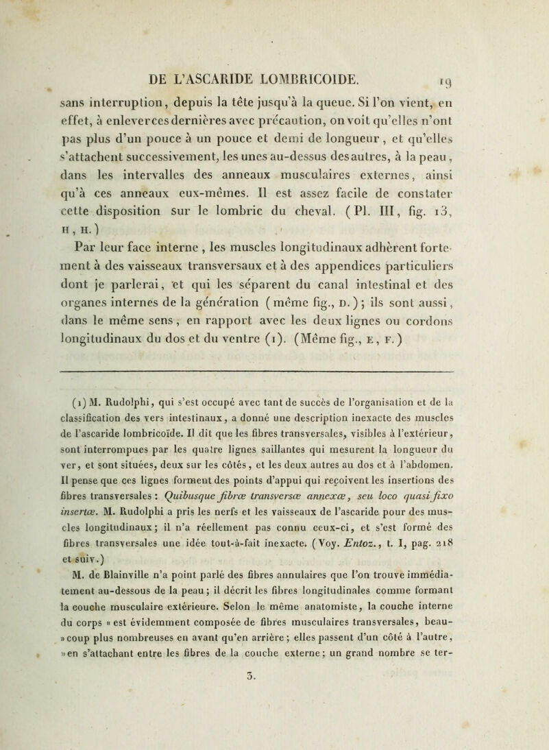 sans interruption, depuis la tête jusqu’à la queue. Si l’on vient, en effet, à enleverces dernières avec précaution, on voit qu’elles n’ont pas plus d’un pouce à un pouce et demi de longueur, et qu’elles s’attachent successivement, les unes au-dessus des autres, à la peau , dans les intervalles des anneaux musculaires externes, ainsi qu’à ces anneaux eux-mêmes. Il est assez facile de constater cette disposition sur le lombric du cheval. (PL III, fig. i3, h , h. ) Par leur face interne , les muscles longitudinaux adhèrent forte- ment à des vaisseaux transversaux et à des appendices particuliers dont je parlerai, et qui les séparent du canal intestinal et des organes internes de la génération ( même fig., d. ) ; ils sont aussi, dans le même sens, en rapport avec les deux lignes ou cordons longitudinaux du dos et du ventre (i). (Même fig., e, f. ) ( i) M. Rudolphi, qui s’est occupé avec tant de succès de l’organisation et de la classification des vers intestinaux, a donné une description inexacte des muscles de l’ascaride Iombricoïde. Il dit que les fibres transversales, visibles à l’extérieur, sont interrompues par les quatre lignes saillantes qui mesurent la longueur du ver, et sont situées, deux sur les côtés , et les deux autres au dos et à l’abdomen. 11 pense que ces lignes forment des points d’appui qui reçoivent les insertions des fibres transversales : Quibusque jibrœ transversœ annexœ, seu loco quasi fixo inscrtœ. M. Rudolphi a pris les nerfs et les vaisseaux de l’ascaride pour des mus- cles longitudinaux; il n’a réellement pas connu ceux-ci, et s’est formé des fibres transversales une idée tout-à-fait inexacte. (Voy. Entoz., t. I, pag. 21S et suiv.) M. de Blainville n’a point parlé des fibres annulaires que l’on trouve immédia- tement au-dessous de la peau ; il décrit les fibres longitudinales comme formant la couche musculaire extérieure. Selon le même anatomiste, la couche interne du corps « est évidemment composée de fibres musculaires transversales, beau- coup plus nombreuses en avant qu’en arrière; elles passent d’un côté à l’autre, »en s’attachant entre les fibres de la couche externe; un grand nombre se ter- 3.