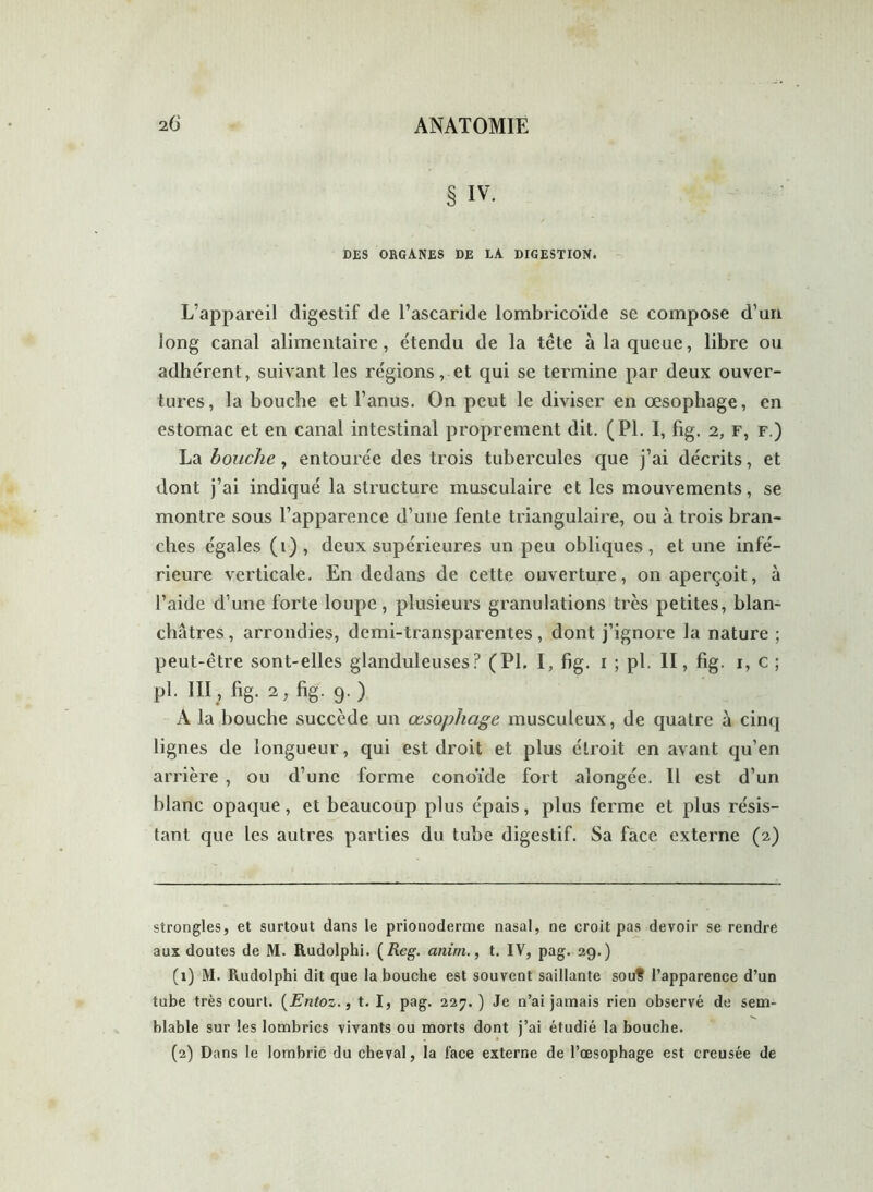 § iv. DES ORGANES DE LA DIGESTION. L’appareil digestif de l’ascaride lombricoïde se compose d’un long canal alimentaire, étendu de la tête à la queue, libre ou adhérent, suivant les régions, et qui se termine par deux ouver- tures, la bouche et l’anus. On peut le diviser en œsophage, en estomac et en canal intestinal proprement dit. (PL I, fig. 2, r, F.) La bouche, entourée des trois tubercules que j’ai décrits, et dont j’ai indiqué la structure musculaire et les mouvements, se montre sous l’apparence d’une fente triangulaire, ou à trois bran- ches égales (i) , deux supérieures un peu obliques , et une infé- rieure verticale. En dedans de cette ouverture, on aperçoit, à l’aide d’une forte loupe, plusieurs granulations très petites, blan- châtres, arrondies, demi-transparentes, dont j’ignore la nature ; peut-être sont-elles glanduleuses? (Pl. I, fig. i ; pi. II, fig. i, c ; pi. III, fig. 2, fig. 9. ) A la bouche succède un œsophage musculeux, de quatre à cinq lignes de longueur, qui est droit et plus étroit en avant qu’en arrière , ou d’une forme conoïde fort alongée. Il est d’un blanc opaque, et beaucoup plus épais, plus ferme et plus résis- tant que les autres parties du tube digestif. Sa face externe (2) strongles, et surtout dans le prionoderme nasal, ne croit pas devoir se rendre aux doutes de M. Rudolphi. (Reg. anim., t. IV, pag. 29.) (1) M. Rudolphi dit que la bouche est souvent saillante sou? l’apparence d’un tube très court. (Entozt. I, pag. 227. ) Je n’ai jamais rien observé de sem- blable sur les lombrics vivants ou morts dont j’ai étudié la bouche. (2) Dans le lombric du cheval, la lace externe de l’œsophage est creusée de