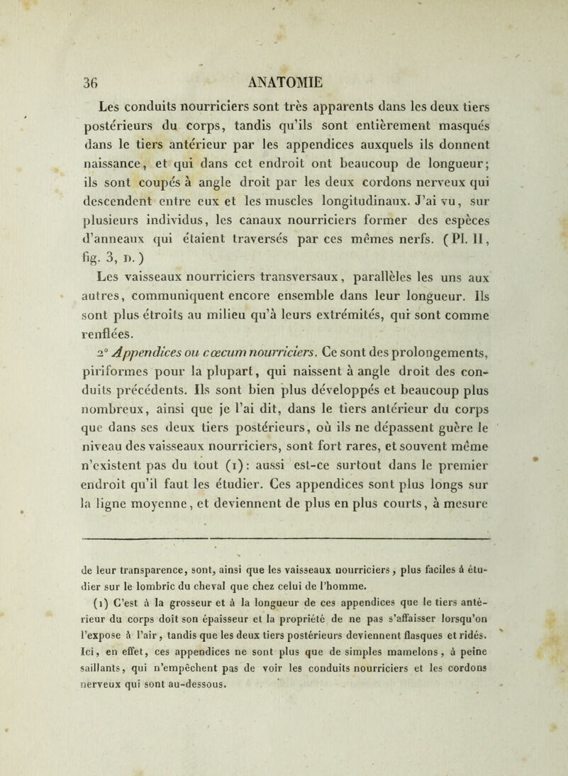 Les conduits nourriciers sont très apparents dans les deux tiers postérieurs du corps, tandis qu’ils sont entièrement masqués dans le tiers antérieur par les appendices auxquels ils donnent naissance, et qui dans cet endroit ont beaucoup de longueur; ils sont coupés à angle droit par les deux cordons nerveux qui descendent entre eux et les muscles longitudinaux. J’ai vu, sur plusieurs individus, les canaux nourriciers former des espèces d’anneaux qui étaient traversés par ces memes nerfs. (PI. II, %• 3, i). ) Les vaisseaux nourriciers transversaux, parallèles les uns aux autres, communiquent encore ensemble dans leur longueur. Ils sont plus étroits au milieu qu’à leurs extrémités, qui sont comme renflées. 2° Appendices ou cæcum nourriciers. Ce sont des prolongements, piriformes pour la plupart, qui naissent à angle droit des con- duits précédents. Ils sont bien plus développés et beaucoup plus nombreux, ainsi que je l’ai dit, dans le tiers antérieur du corps que dans ses deux tiers postérieurs, où ils ne dépassent guère le niveau des vaisseaux nourriciers, sont fort rares, et souvent même n’existent pas du tout (i): aussi est-ce surtout dans le premier endroit qu’il faut les étudier. Ces appendices sont plus longs sur la ligne moyenne, et deviennent de plus en plus courts, à mesure de leur transparence, sont, ainsi que les vaisseaux nourriciers, plus faciles à étu- dier sur le lombric du cheval que chez celui de l’homme. (î) C’est i\ la grosseur et à la longueur de ces appendices que le tiers anté- rieur du corps doit son épaisseur et la propriété de ne pas s’affaisser lorsqu’on l’expose à l’air, tandis que les deux tiers postérieurs deviennent flasques et ridés. Ici, en effet, ces appendices ne sont plus que de simples mamelons, ù peine saillants, qui n’empêchent pas de voir les conduits nourriciers et les cordons nerveux qui sont au-dessous.