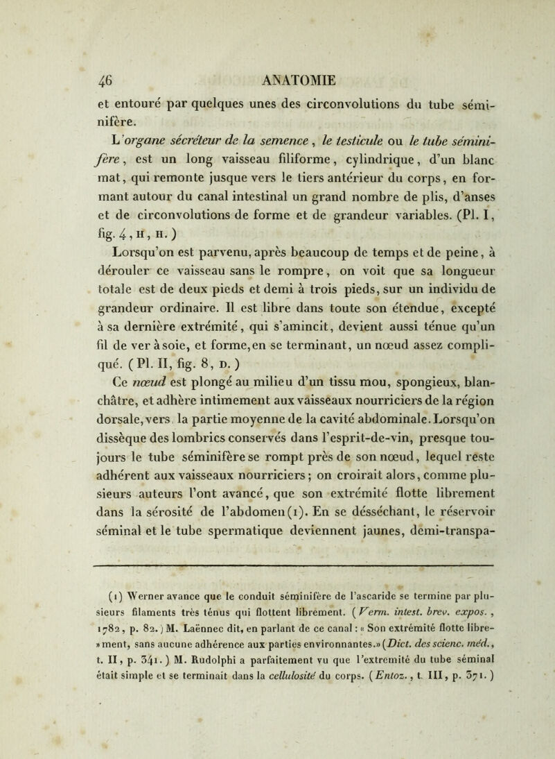 et entouré par quelques unes des circonvolutions du tube sémi- nifère. L ’organe sécréteur de la semence , le testicule ou le tube sémini- fère, est un long vaisseau filiforme, cylindrique, d’un blanc mat, qui remonte jusque vers le tiers antérieur du corps, en for- mant autour du canal intestinal un grand nombre de plis, d’anses et de circonvolutions de forme et de grandeur variables. (PI. I, fig- 4, h , H.) Lorsqu’on est parvenu, après beaucoup de temps et de peine, à dérouler ce vaisseau sans le rompre, on voit que sa longueur totale est de deux pieds et demi à trois pieds, sur un individu de grandeur ordinaire. Il est libre dans toute son étendue, excepté à sa dernière extrémité, qui s’amincit, devient aussi ténue qu’un fil de ver à soie, et forme, en se terminant, un nœud assez compli- qué. ( PI. II, fig. 8, d. ) Ce nœud est plongé au milieu d’un tissu mou, spongieux, blan- châtre, et adhère intimement aux vaisseaux nourriciers de la région dorsale, vers, la partie moyenne de la cavité abdominale. Lorsqu’on dissèque des lombrics conservés dans l’esprit-de-vin, presque tou- jours le tube séminifère se rompt près de son nœud, lequel reste adhérent aux vaisseaux nourriciers ; on croirait alors, comme plu- sieurs auteurs l’ont avancé, que son extrémité flotte librement dans la sérosité de l’abdomen(i). En se désséchant, le réservoir séminal et le tube spermatique deviennent jaunes, demi-transpa- (i) Werner avance que le conduit séminifère de l’ascaride se termine par plu- sieurs filaments très ténus qui flottent librement. ( Verni. intest. brev. expos. , 1782, p. 82. j M. Laënnec dit, en parlant de ce canal : « Son extrémité flotte libre- »ment, sans aucune adhérence aux parties environnantes.» (Dict. desscienc. rne'd., t. II, p. 34i. ) M. Rudolphi a parfaitement vu que l’extremité du tube séminal était simple et se terminait dans la cellulosité du corps. ( Entoz., t, III, p. 571. )