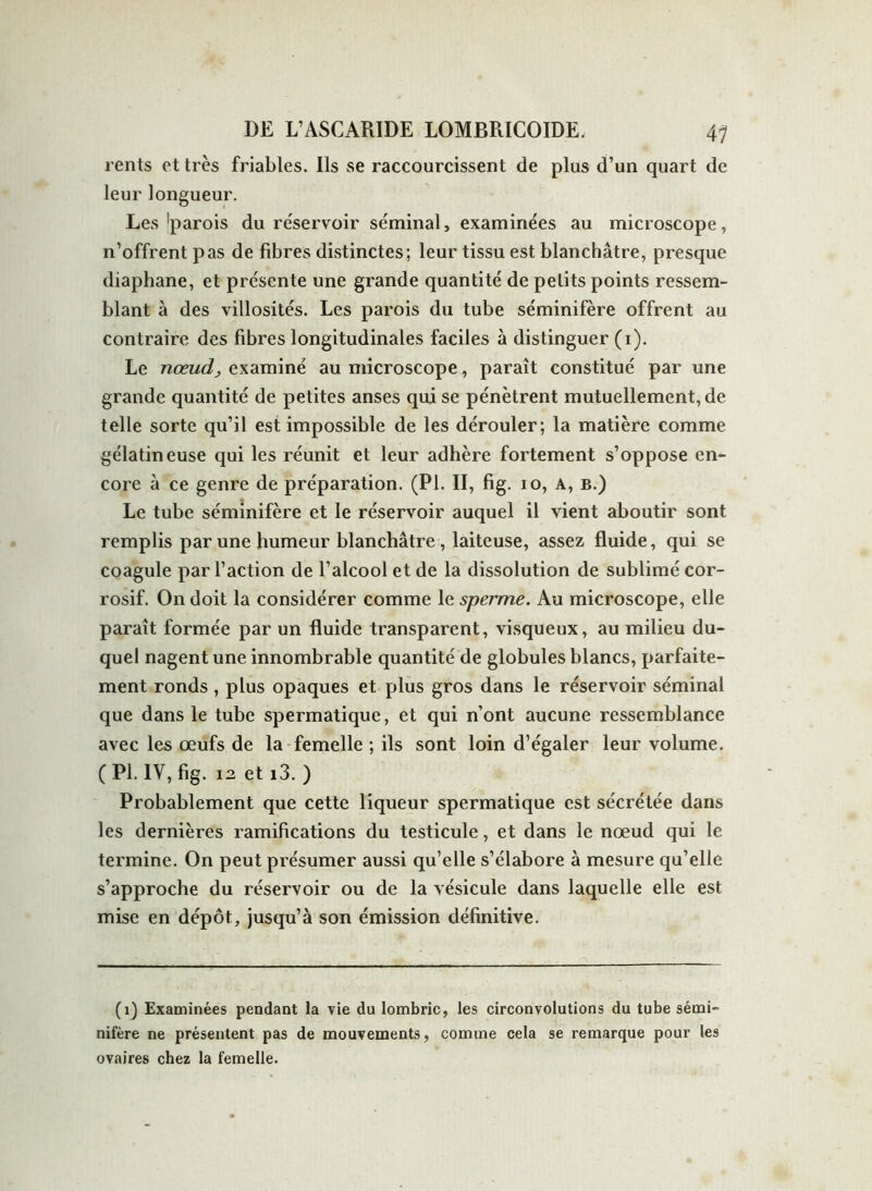 rents et très friables. Ils se raccourcissent de plus d’un quart de leur longueur. Les parois du réservoir séminal, examinées au microscope, n’offrent pas de fibres distinctes; leur tissu est blanchâtre, presque diaphane, et présente une grande quantité de petits points ressem- blant à des villosités. Les parois du tube séminifère offrent au contraire des fibres longitudinales faciles à distinguer (i). Le nœud, examiné au microscope, paraît constitué par une grande quantité de petites anses qui se pénètrent mutuellement, de telle sorte qu’il est impossible de les dérouler; la matière comme gélatineuse qui les réunit et leur adhère fortement s’oppose en- core à ce genre de préparation. (PL II, fig. io, a, b.) Le tube séminifère et le réservoir auquel il vient aboutir sont remplis par une humeur blanchâtre, laiteuse, assez fluide, qui se coagule par l’action de l’alcool et de la dissolution de sublimé cor- rosif. On doit la considérer comme le sperme. Au microscope, elle paraît formée par un fluide transparent, visqueux, au milieu du- quel nagent une innombrable quantité de globules blancs, parfaite- ment ronds, plus opaques et plus gros dans le réservoir séminal que dans le tube spermatique, et qui n’ont aucune ressemblance avec les œufs de la femelle ; ils sont loin d’égaler leur volume. (PL IV, fig. 12 et i3. ) Probablement que cette liqueur spermatique est sécrétée dans les dernières ramifications du testicule, et dans le nœud qui le termine. On peut présumer aussi qu’elle s’élabore à mesure qu’elle s’approche du réservoir ou de la vésicule dans laquelle elle est mise en dépôt, jusqu’à son émission définitive. (1) Examinées pendant la vie du lombric, les circonvolutions du tube sémi- nifère ne présentent pas de mouvements, comme cela se remarque pour les ovaires chez la femelle.