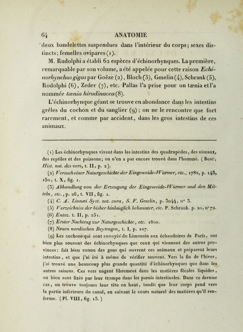 deux bandelettes suspendues dans l’intérieur du corps; sexes dis- tincts ; femelles ovipares ( i ). M. Rudolphia établi 62 espèces d’échinorhynques. La première, remarquable par son volume, a été appelée pour cette raison Echi- norhynchusgigaspar Goëze (2), Bloch (3), Gmelin (4), Schrank (5), Rodolphi (6), Zeder (7), etc. Pallas l’a prise pour un tæniaetl’a nommée tcenia hirudinacea (8). L’échinorhynque géant se trouve en abondance dans les intestins grêles du cochon et du sanglier (9) ; on ne le rencontre que fort rarement, et comme par accident, dans les gros intestins de ces animaux. (1) Les échinorhynques vivent dans les intestins des quadrupèdes, des oiseaux, des reptiles et des poissons; on n’en a pas encore trouvé dans l’homme. (Bosc, Hist. nat. des vers, t. II, p. 2). (2) Vcrsucheiner Naturgeschichte der Eingeweide-TVürmer, etc., 1782, p. i43, i5o, t. X, fig. 1. (3) Abhandlung von der Erzeugung der Eingeweide-TVürmer und den Mit- teln, etc., p. 26, t. VII, fig. 1. (4) C. A. Linnæi Syst. nat. cura, S. F. Gmelin, p. 3o44> n° 3. (5) Vcrzeichniss der bisher hinlaüglich bekannter, etc. P. Schrank. p. 21, n°72. (6) Entoz. t. II, p. 251. (7) Erster Nachtrag zur Naturgeschichte, etc. 1800. (8) Neuen nordischen Beytragen, t. I, p. 107. (9) Les cochons qui sont envoyés'du Limousin aux échaudoires de Paris, ont bien plus souvent des échinorhynques que ceux qui viennent des autres pro- vinces: fait bien connu des gens qui ouvrent ces animaux et préparent leurs intestins, et que j’ai été à même de vérifier souvent. Vers la fin de l’hiver, j’ai trouvé une beaucoup plus grande quantité d’échinorhynques que dans les autres saisons. Ces vers nagent librement dans les matières fécales liquides , ou bien sont fixés par leur trompe dans les parois intestinales. Dans ce dernier cas, on trouve toujours leur tête en haut, tandis que leur corps pend vers la partie inférieure du canal, en suivant le cours naturel des matières qu’il ren- ferme. (PI. VIII, fig. i3. )