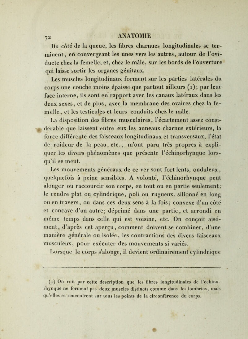 72 Du côté de la queue, les fibres charnues longitudinales se ter- minent, en convergeant les unes vers les autres, autour de l’ovi- ducte chez la femelle, et, chez le mâle, sur les bords de l’ouverture qui laisse sortir les organes génitaux. Les muscles longitudinaux forment sur les parties latérales du corps une couche moins épaisse que partout ailleurs (1); par leur face interne, ils sont en rapport avec les canaux latéraux dans les deux sexes, et de plus, avec la membrane des ovaires chez la fe- melle, et les testicules et leurs conduits chez le mâle. La disposition des fibres musculaires, l’écartement assez consi- dérable que laissent entre eux les anneaux charnus extérieurs, la force différente des faisceaux longitudinaux et transversaux, l’état de roideur de la peau, etc., m’ont paru très propres à expli- quer les divers phénomènes que présente l’échinorhynque lors- qu’il se meut. Les mouvements généraux de ce ver sont fort lents, onduleux , quelquefois à peine sensibles. A volonté, l’échinorhynque peut alonger ou raccourcir son corps, en tout ou en partie seulement; le rendre plat ou cylindrique, poli ou rugueux, sillonné en long ou en travers, ou dans ces deux sens à la fois; convexe d’un côté et concave d’un autre; déprimé dans une partie, et arrondi en même temps dans celle qui est voisine, etc. On conçoit aisé- ment, d’après cet aperçu, comment doivent se combiner, d’une manière générale ou isolée, les contractions des divers faisceaux musculeux, pour exécuter des mouvements si variés. Lorsque le corps s’alonge, il devient ordinairement cylindrique (1) On voit par cette description que les fibres longitudinales de l’échino- rhynque ne forment pas deux muscles distincts comme dans les lombrics, mais qu’elles se rencontrent sur tous les points de la circonférence du corps.