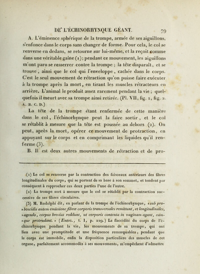 A. L’éminence sphérique de la trompe, armée de ses aiguillons, s’enfonce dans le corps sans changer de forme. Pour cela, le col se renverse en dedans, se retourne sur lui-même, et la reçoit comme dans une véritable gaine (1) ; pendant ce mouvement, les aiguillons m’ont paru se resserrer contre la trompe ; la tête disparaît, et se trouve , ainsi que le col qui l’enveloppe , cachée dans le corps. C’est le seul mouvement de rétraction qu’on puisse faire exécuter à la trompe après la mort, en tirant les muscles rétracleurs en arrière. L’animal le produit assez rarement pendant la vie ; quel- quefois il meurt avec sa trompe ainsi retirée. (PI. VII, fig. 1, fig. 2. a. b. c. D.) La tête de la trompe étant renfermée de cette manière dans le col , l’échinorhynque peut la faire sortir , et le col se rétablit à mesure que la tête est poussée au dehors (2). On peut, après la mort, opérer ce mouvement de protraction, en appuyant sur le corps et en comprimant les liquides qu’il ren- ferme (3). B. Il est deux autres mouvements de rétraction et de pro- (1) Le col se renverse par la contraction des faisceaux antérieurs des fibres longitudinales du corps, qui se portent de sa base à son sommet, et tendent par conséquent à rapprocher ces deux parties l’une de l’autre. (2) La trompe sort à mesure que le col se rétablit par la contraction suc- cessive de ses fibres circulaires. (3) M. Rudolphi dit, en parlant de la trompe de l’échinorhynque, asub pro- » boscidis autein emissioneJibrœ corporis transversales remittunt, et longitudinales, » agendo, corpus brevius reddunt, ut corporis contenta in vaginain agant, eam- nque protrudant. » (Entozt. I, p. 229.) La flaccidité du corps de l’é- chinorhynque pendant la vie, les mouvements de sa trompe, qui ont lieu avec une promptitude et une fréquence remarquables, pendant que le corps est immobile, enfin la disposition particulière des muscles de cet organe, parfaitement accommodés à ses mouvements, m’empêchent d’admettre