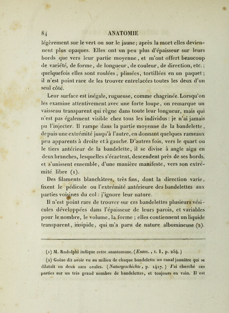 légèrement sur le vert ou sur le jaune ; après la mort elles devien- nent plus opaques. Elles ont un peu plus d’épaisseur sur leurs bords que vers leur partie moyenne, et m’ont offert beaucoup de variété, de forme, de longueur, de couleur, de direction, etc. ; quelquefois elles sont roulées , plissées, tortillées en un paquet ; il n’est point rare de les trouver entrelacées toutes les deux d’un seul côté. Leur surface est inégale, rugueuse, comme chagrinée. Lorsqu’on les examine attentivement avec une forte loupe, on remarque un vaisseau transparent qui règne dans toute leur longueur, mais qui n’est pas également visible chez tous les individus : je n’ai jamais pu l’injecter. Il rampe dans la partie moyenne de la bandelette, depuis une extrémité jusqu’à l’autre, en donnant quelques rameaux peu apparents à droite et à gauche. D’autres fois, vers le quart ou le tiers antérieur de la bandelette, il se divise à angle aigu en deux branches, lesquelles s’écartent, descendent près de ses bords, et s’unissent ensemble, d’une manière manifeste, vers son extré- mité libre (i). Des fdaments blanchâtres, très fins, dont la direction varie, fixent le pédicule ou l’extrémité antérieure des bandelettes aux parties voisines du col : j’ignore leur nature. Il n’est point rare de trouver sur ces bandelettes plusieurs vési- cules développées dans l’épaisseur de leurs parois, et variables pour le nombre, le volume, la forme ; elles contiennent un liquide transparent, insipide, qui m’a paru de nature albumineuse (2). (1) M. Rudolphi indique cette anastomose. (Entoz. , t. I, p. 254- ) (2) Goëze dit avoir vu au milieu de chaque bandelette un canal jaunâtre qui se dilatait en deux sacs ovales. (Nalurgeschichte, p. 1417.) J’ai cherché ces parties sur un très grand nombre de bandelettes, et toujours en vain. Il est