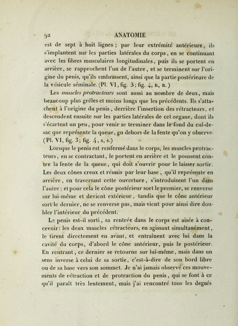 est de sept à huit lignes; par leur extrémité antérieure, ils s’implantent sur les parties latérales du corps, en se continuant avec les fibres musculaires longitudinales, puis ils se portent en arrière, se rapprochent l’un de l’autre , et se terminent sur l’ori- gine du pénis, qu’ils embrassent, ainsi que la partie postérieure de la vésicule séminale. (PI. VI, fig. 3 ; fig. 4, R, R- ) Les muscles protracteurs sont aussi au nombre de deux, mais beaucoup plus grêles et moins longs que les précédents. Ils s’atta- chent à l’origine du pénis , derrière l’insertion des rétracteurs, et descendent ensuite sur les parties latérales de cet organe, dont ils s’écartent nn peu, pour venir se terminer dans le fond du cul-de- sac que représente la queue, çn dehors de la fente qu’on y observe. (PI. VI, fig. 3; fig. 4, s, s.) Lorsque le pénis est renfermé dans le corps, les muscles protrac- teurs, en se contractant, le portent en arrière et le poussent con- tre la fente de la queue, qui doit s’ouvrir pour le laisser sortir. Les deux cônes creux et réunis par leur base , qu’il représente en arrière, en traversant cette ouverture, s’introduisent l’un dans l’autre ; et pour cela le cône postérieur sort le premier, se renverse sur lui-même et devient extérieur, tandis que le cône antérieur sort le dernier, ne se renverse pas, mais vient pour ainsi dire dou- bler l’intérieur du précédent. Le pénis est-il sorti, sa rentrée dans le corps est aisée à con- cevoir: les deux muscles rétracteurs, en agissant simultanément, le tirent directement en avant, et entraînent avec lui dans la cavité du corps, d’abord le cône antérieur, puis le postérieur. En rentrant, ce dernier se retourne sur lui-même, mais dans un sens inverse à celui de sa sortie, c’est-à-dire de son bord libre ou de sa base vers son sommet. Je n’ai jamais observé ces mouve- ments de rétraction et de protraction du pénis, qui se font à ce qu’il paraît très lentement, mais j’ai rencontré tous les degués