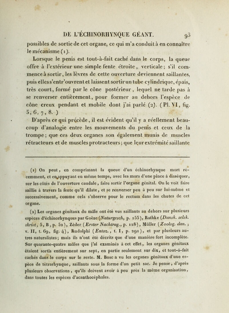 possibles de sortie de cet organe, ce qui m’a conduit à en connaître le mécanisme (i). Lorsque le pénis est tout-à-fait caché dans le corps, la queue offre à l’extérieur une simple fente étroite, verticale; s’il com- mence à sortir, les lèvres de cette ouverture deviennent saillantes, puis elless’entr’ouvrent et laissent sortirun tube cylindrique, épais, très court, formé parle cône postérieur, lequel ne tarde pas à se renverser entièrement, pour former au dehors l’espèce de cône creux pendant et mobile dont j’ai parlé (2). (PI. YI, fig. 5, 6, 7, 8. ) D'après ce qui précède, il est évident qu’il y a réellement beau- coup d’analogie entre les mouvements du pénis et ceux de la trompe ; que ces deux organes son également munis de muscles rétracteurs et de muscles protracteurs; que lçur extrémité saillante (1) On peut, en comprimant la queue d’un échinorhynque mort ré- cemment, et eryippuyant en même temps, avec les mors d’une pince à disséquer, sur les côtés de l’ouverture caudale, faire sortir l’organe génital. On le voit faire saillie à travers la fente qu’il dilate, et se renverser peu à peu sur lui-même et successivement, comme cela s’observe pour le rectum dans les chutes de cet organe. (2) Les organes génitaux du mâle ont été vus saillants au dehors sur plusieurs espèces d’échinorhynques par Goëze (Nalurgesch, p. 155), Rathke (Dansk. selsk. skrivt, 5, B,p. 52), Zèder [Erster Nachtrag., p. 128), Müller (Zoolog. dan. , v. II, t. 69, fig. 4), Rudolphi (Enloz., t. I, p. 291), et par plusieurs au- tres naturalistes; mais ils n’ont été décrits que d’une manière fort incomplète. Sur quarante-quatre mâles que j’ai examinés à cet effet, les organes génitaux étaient sortis entièrement sur sept, en partie seulement sur dix, et tout-à-fait cachés dans le corps sur le reste. M. Bosc a vu les organes génitaux d’une es- pèce de tétrarhynque, saillants sous la forme d’un petit sac. Je pense, d’après plusieurs observations , qu’ils doivent avoir à peu près la même organisation, dans toutes les espèces d’acanthocéphales.