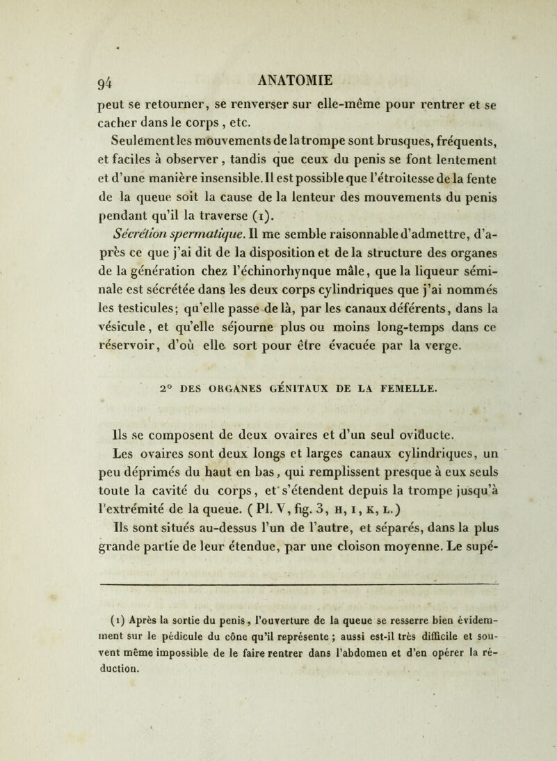 peut se retourner, se renverser sur elle-même pour rentrer et se cacher dans le corps , etc. Seulement les mouvements delatrompe sont brusques, fréquents, et faciles à observer, tandis que ceux du pénis se font lentement et d’une manière insensible. Il est possible que l’étroitesse de la fente de la queue soit la cause de la lenteur des mouvements du pénis pendant qu’il la traverse (i). Sécrétion spermatique. Il me semble raisonnable d’admettre, d’a- près ce que j’ai dit de la disposition et delà structure des organes de la génération chez l’échinorliynque mâle, que la liqueur sémi- nale est sécrétée dans les deux corps cylindriques que j’ai nommés les testicules; qu’elle passe delà, parles canaux déférents, dans la vésicule, et quelle séjourne plus ou moins long-temps dans ce réservoir, d’où elle sort pour être évacuée par la verge. 2° DES OK GAINES GENITAUX DE LA FEMELLE. Ils se composent de deux ovaires et d’un seul oviflucte. Les ovaires sont deux longs et larges canaux cylindriques, un peu déprimés du haut en bas, qui remplissent presque à eux seuls toute la cavité du corps, et's’étendent depuis la trompe jusqu’à l'extrémité de la queue. ( PI. Y, fig. 3, h, i, k, l.) Ils sont situés au-dessus l’un de l’autre, et séparés, dans la plus grande partie de leur étendue, par une cloison moyenne. Le supé- (i) Après la sortie du pénis, l’ouverture de la queue se resserre bien évidem- ment sur le pédicule du cône qu’il représente ; aussi est-il très difficile et sou- vent même impossible de le faire rentrer dans l’abdomen et d’en opérer la ré- duction.