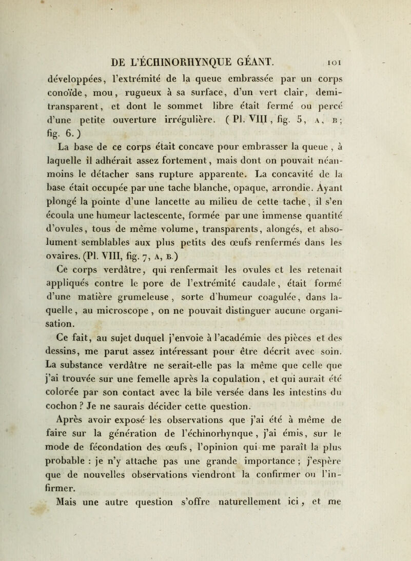 développées, l’extrémité de la queue embrassée par un corps conoïde, mou, rugueux à sa surface, d’un vert clair, demi- transparent , et dont le sommet libre était fermé ou percé d’une petite ouverture irrégulière. ( PI. VIII, fig. 5, a, b; fig. 6.) La base de ce corps était concave pour embrasser la queue , à laquelle il adhérait assez fortement, mais dont on pouvait néan- moins le détacher sans rupture apparente. La concavité de la base était occupée par une tache blanche, opaque, arrondie. Ayant plongé la pointe d’une lancette au milieu de cette tache, il s’en écoula une humeur lactescente, formée par une immense quanti té d’ovules, tous de même volume, transparents, alongés, et abso- lument semblables aux plus petits des œufs renfermés dans les ovaires. (PI. VIII, fig. 7, A, b.) Ce corps verdâtre, qui renfermait les ovules et les retenait appliqués contre le pore de l’extrémité caudale, était formé d’une matière grumeleuse , sorte d’humeur coagulée, dans la- quelle , au microscope , on ne pouvait distinguer aucune organi- sation. Ce fait, au sujet duquel j’envoie à l’académie des pièces et des dessins, me parut assez intéressant pour être décrit avec soin. La substance verdâtre ne serait-elle pas la même que celle que j’ai trouvée sur une femelle après la copulation, et qui aurait été colorée par son contact avec la bile versée dans les intestins du cochon ? Je ne saurais décider cette question. Après avoir exposé les observations que j’ai été à même de faire sur la génération de l’échinorhynque, j’ai émis, sur le mode de fécondation des œufs, l’opinion qui me paraît la plus probable : je n’y attache pas une grande importance ; j’espère que de nouvelles observations viendront la confirmer ou l’in- firmer. Mais une autre question s’offre naturellement ici, et me