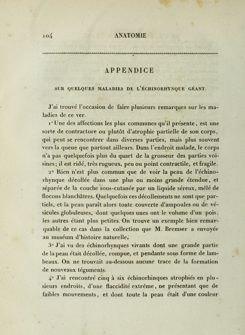 APPENDICE SUR QUELQUES MALADIES DE L’ÉCHINORHYNQUE GEANT. J’ai trouvé l’occasion de faire plusieurs remarques sur les ma- ladies de ce ver. i°Une des affections les plus communes qu’il présente, est une sorte de contracture ou plutôt d’atrophie partielle de son corps, qui peut se rencontrer dans diverses parties, mais plus souvent vers la queue que partout ailleurs. Dans l’endroit malade, le corps n’a pas quelquefois plus du quart de la grosseur des parties voi- sines; il est ridé, très rugueux, peu ou point contractile, et fragile. 2° Rien n’est plus commun que de voir la peau de l’échino- rhynque décollée dans une plus ou moins grande étendue, et séparée de la couche sous-cutanée par un liquide séreux, mêlé de flocons blanchâtres. Quelquefois ces décollements ne sont que par- tiels, et la peau paraît alors toute couverte d’ampoules ou de vé- sicules globuleuses, dont quelques unes ont le volume d’un pois, les autres étant plus petites. On trouve un exemple bien remar- quable de ce cas dans la collection que M. Bremser a envoyée au muséum d’histoire naturelle. 3° J’ai vu des échinorhynques vivants dont une grande partie de la peau était décollée, rompue, et pendante sous forme de lam- beaux. On ne trouvait au-dessous aucune trace de la formation de nouveaux téguments. 4° J’ai rencontré cinq à six échinorhinques atrophiés en plu- sieurs endroits, d’une flaccidité extrême, ne présentant que de faibles mouvements, et dont toute la peau était d’une couleur