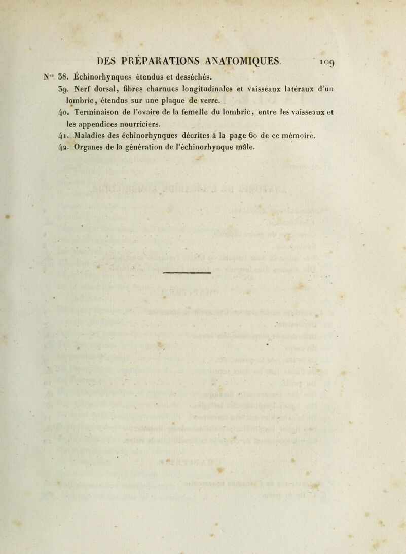 Nos 38. Echinorhynques étendus et desséchés. 3g. Nerf dorsal, fibres charnues longitudinales et vaisseaux latéraux d’un lombric, étendus sur une plaque de verre. 40. Terminaison de l’ovaire de la femelle du lombric, entre les vaisseaux et les appendices nourriciers. 41. Maladies des échinorhynques décrites à la page 60 de ce mémoire. 4a. Organes de la génération de l’échinorhynque mâle.