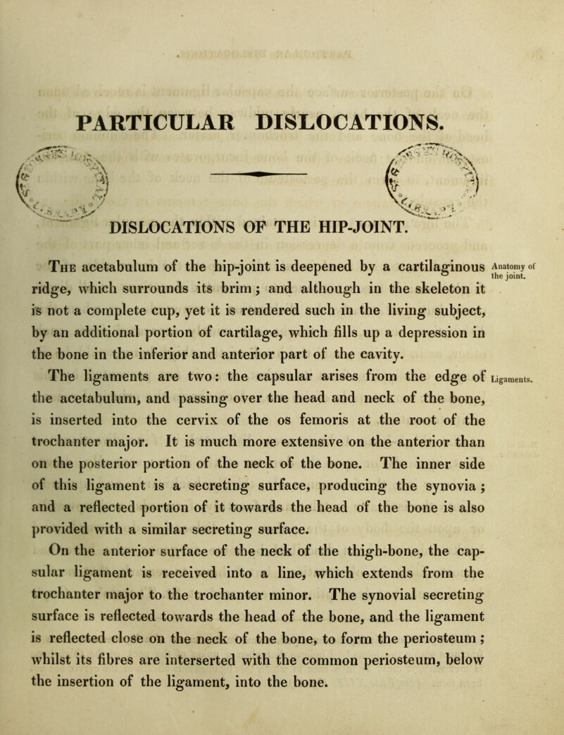 PARTICULAR DISLOCATIONS. DISLOCATIONS OF THE HIP-JOINT. The acetabulum of the hip-joint is deepened by a cartilaginous ridge, which surrounds its brim; and although in the skeleton it is not a complete cup, yet it is rendered such in the living subject, by an additional portion of cartilage, which fills up a depression in the bone in the inferior and anterior part of the cavity. The ligaments are two; the capsular arises from the edge of the acetabulum, and passing over the head and neck of the bone, is inserted into the cervix of the os femoris at the root of the trochanter major. It is much more extensive on the anterior than on the posterior portion of the neck of the bone. The inner side of this ligament is a secreting surface, producing the synovia; and a reflected portion of it towards the head of the bone is also provided with a similar secreting surface. On the anterior surface of the neck of the thigh-bone, the cap- sular ligament is received into a line, which extends from the trochanter major to the trochanter minor. The synovial secreting surface is reflected towards the head of the bone, and the ligament is reflected close on the neck of the bone, to form the periosteum; whilst its fibres are interserted with the common periosteum, below the insertion of the ligament, into the bone. Anatomy of the joint. Ligaments.