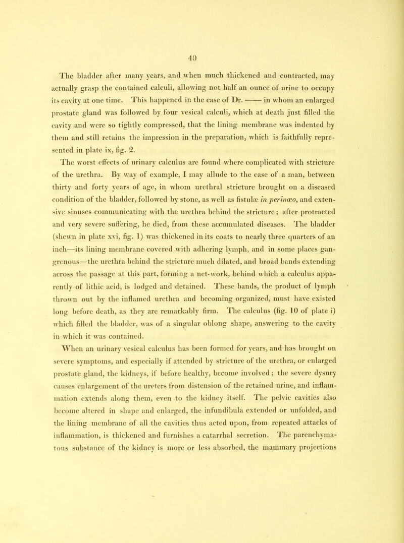 The bladder after many years, and when much thickened and contracted, may actually grasp the contained calculi, allowing not half an ounce of urine to occupy its cavity at one time. This happened in the case of Dr. in whom an enlarged prostate gland was followed by four vesical calculi, which at death just filled the cavity and were so tightly compressed, that the lining membrane was indented by them and still retains the impression in the preparation, which is faithfully repre- sented in plate ix, fig. 2. The worst effects of urinary calculus are found where complicated with stricture of the urethra. By way of example, I may allude to the case of a man, between thirty and forty years of age, in whom urethral stricture brought on a diseased condition of the bladder, followed by stone, as well as fistulm in perinceo, and exten- sive sinuses communicating with the urethra behind the stricture; after protracted and very severe suffering, he died, from these accumulated diseases. The bladder (shewn in plate xvi, fig. 1) was thickened in its coats to nearly three quarters of an inch—its lining membrane covered with adhering lymph, and in some places gan- grenous—the urethra behind the stricture much dilated, and broad bands extending across the passage at this part, forming a net-work, behind which a calculus appa- rently of litliic acid, is lodged and detained. These bands, the product of lymph thrown out by the inflamed urethra and becoming organized, must have existed long before death, as they are remarkably firm. The calculus (fig. 10 of plate i) which filled the bladder, was of a singular oblong shape, answering to the cavity in which it was contained. When an urinary vesical calculus has been formed for years, and has brought on severe symptoms, and especially if attended by stricture of the urethra, or enlarged prostate gland, the kidneys, if before healthy, become involved; the severe dysury causes enlargement of the ureters from distension of the retained urine, and inflam- mation extends along them, even to the kidney itself. The pelvic cavities also become altered in shape and enlarged, the infundibula extended or unfolded, and the lining membrane of all the cavities thus acted upon, from repeated attacks of inflammation, is thickened and furnishes a catarrhal secretion. The parenchyma- tous substance of the kidney is more or less absorbed, the mammary projections