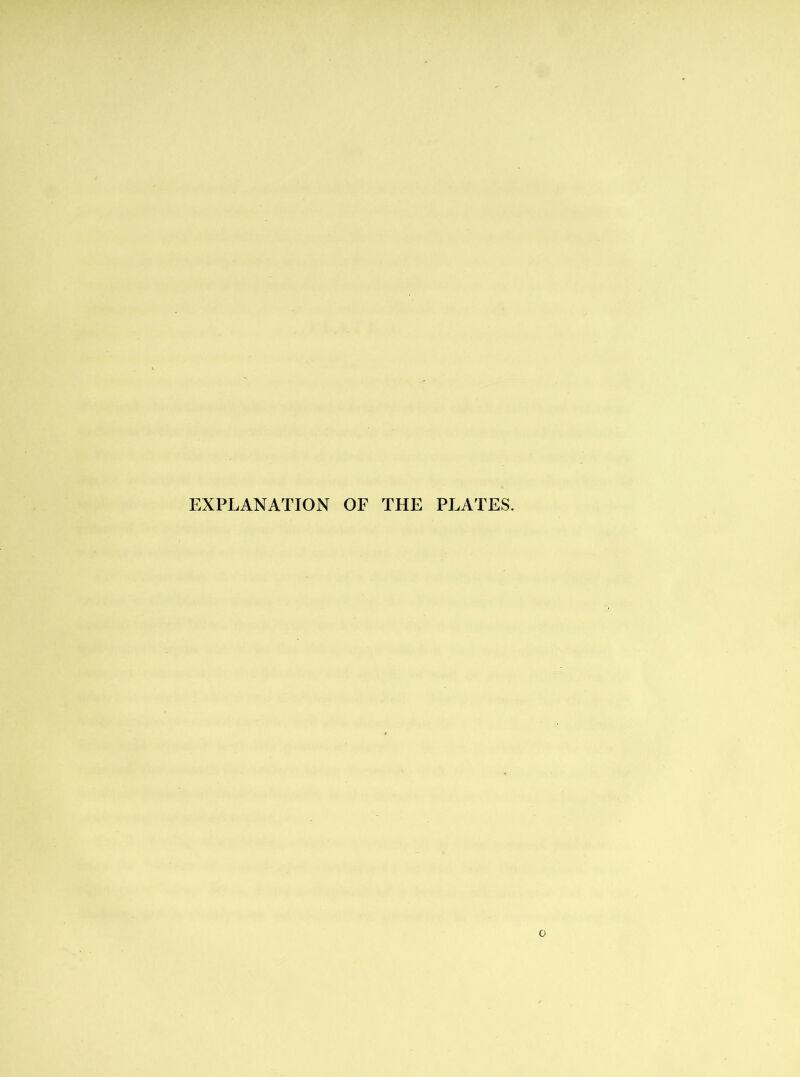 EXPLANATION OF THE PLATES.