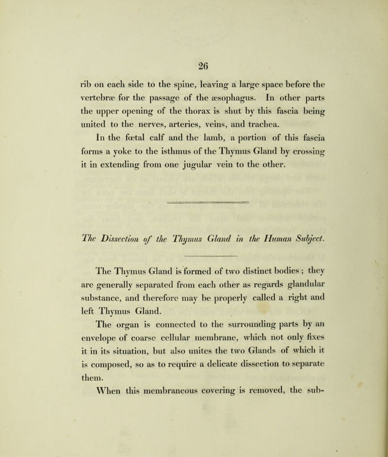 rib on each side to the spine, leaving a large space before the vertebrae for the passage of the aesophagns. In other parts the upper opening of the thorax is shut by this fascia being united to the nerves, arteries, veins, and trachea. In the foetal calf and the lamb, a portion of this fascia forms a yoke to the isthmus of the Thymus Gland by crossing it in extending from one jugular vein to the other. The Dissection of the Thymus Gland in the Human Subject. The Thymus Gland is formed of two distinct bodies ; they are generally separated from each other as regards glandular substance, and therefore may be properly called a right and left Thymus Gland. The organ is connected to the surrounding parts by an envelope of coarse cellular membrane, which not only fixes it in its situation, but also unites the two Glands of which it is composed, so as to require a delicate dissection to separate them. When this membraneous covering is removed, the sub-