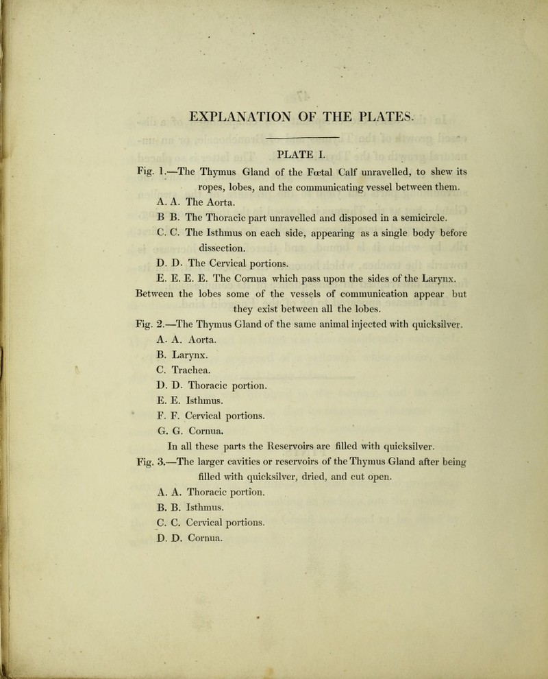 EXPLANATION OF THE PLATES. PLATE I. Fig. 1.—The Thymus Gland of the Foetal Calf unravelled, to shew its ropes, lobes, and the communicating vessel between them. A. A. The Aorta. B B. The Thoracic part unravelled and disposed in a semicircle. C. C. The Isthmus on each side, appearing as a single body before dissection. I). D. The Cervical portions. E. E. E. E. The Cornua which pass upon the sides of the Larynx. Between the lobes some of the vessels of communication appear but they exist between all the lobes. Fig. 2.—The Thymus Gland of the same animal injected with quicksilver. A- A. Aorta. B. Larynx. C. Trachea. D. D. Thoracic portion. E. E. Isthmus. F. F. Cervical portions. G. G. Cornua. In all these parts the Reservoirs are filled with quicksilver. Fig. 3.—The larger cavities or reservoirs of the Thymus Gland after being filled with quicksilver, dried, and cut open. A. A. Thoracic portion. B. B. Isthmus. C. C. Cervical portions. D. D. Cornua.