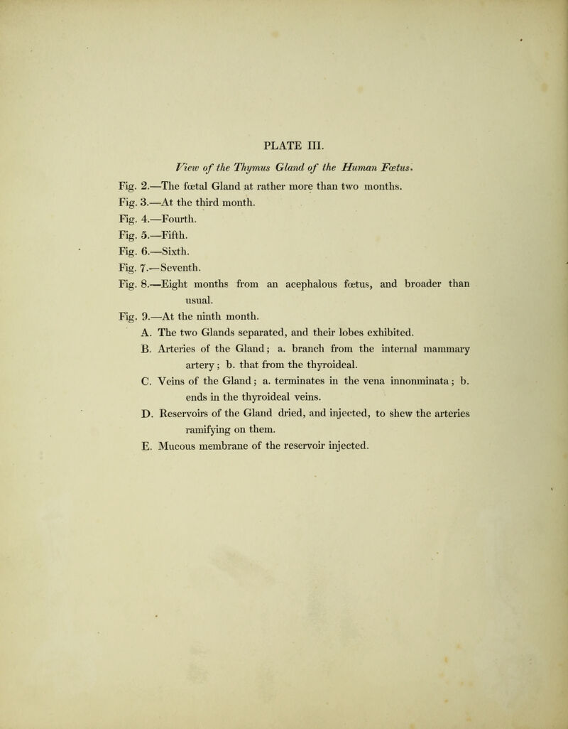 View of the Thymus Gland of the Human Foetus. Fig. 2.—The foetal Gland at rather more than two months. Fig. 3.—At the third month. Fig. 4.—Fourth. Fig. 5.—Fifth. Fig. 6.—Sixth. Fig. 7-—Seventh. Fig. 8.—Eight months from an acephalous foetus, and broader than usual. Fig. 9.—At the ninth month. A. The two Glands separated, and their lobes exhibited. B. Arteries of the Gland; a. branch from the internal mammary artery; b. that from the thyroideal. C. Veins of the Gland; a. terminates in the vena innonminata; b. ends in the thyroideal veins. D. Reservoirs of the Gland dried, and injected, to shew the arteries ramifying on them. E. Mucous membrane of the reservoir injected.