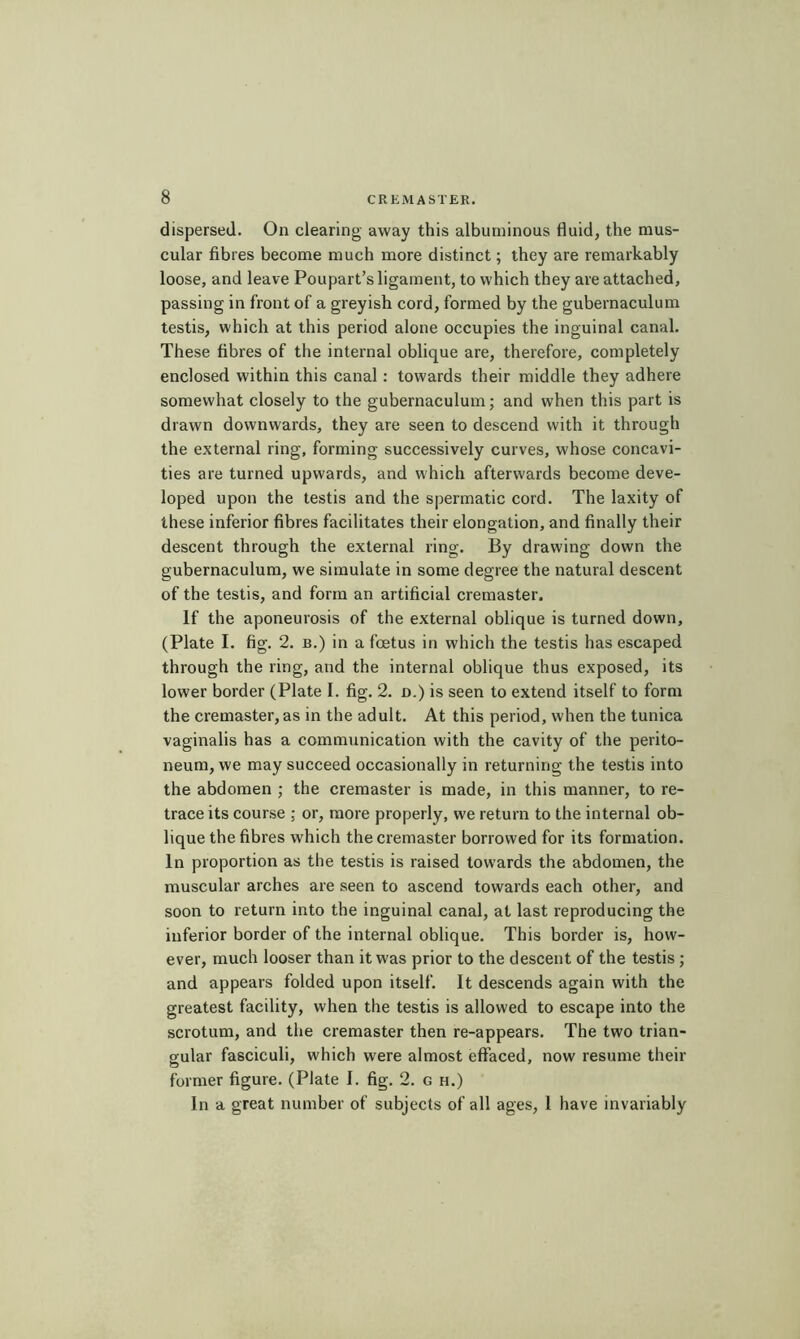 dispersed. On clearing away this albuminous fluid, the mus- cular fibres become much more distinct ; they are remarkably loose, and leave Poupart’s ligament, to which they are attached, passing in front of a greyish cord, formed by the gubernaculum testis, which at this period alone occupies the inguinal canal. These fibres of the internal oblique are, therefore, completely enclosed within this canal : towards their middle they adhere somewhat closely to the gubernaculum ; and when this part is drawn downwards, they are seen to descend with it through the external ring, forming successively curves, whose concavi- ties are turned upwards, and which afterwards become deve- loped upon the testis and the spermatic cord. The laxity of these inferior fibres facilitates their elongation, and finally their descent through the external ring. By drawing down the gubernaculum, we simulate in some degree the natural descent of the testis, and form an artificial cremaster. If the aponeurosis of the external oblique is turned down, (Plate I. fig. 2. B.) in a foetus in which the testis has escaped through the ring, and the internal oblique thus exposed, its lower border (Plate I. fig. 2. n.) is seen to extend itself to form the cremaster, as in the adult. At this period, when the tunica vaginalis has a communication with the cavity of the perito- neum, we may succeed occasionally in returning the testis into the abdomen ; the cremaster is made, in this manner, to re- trace its course ; or, more properly, we return to the internal ob- lique the fibres which the cremaster borrowed for its formation. In proportion as the testis is raised towards the abdomen, the muscular arches are seen to ascend towards each other, and soon to return into the inguinal canal, at last reproducing the inferior border of the internal oblique. This border is, how- ever, much looser than it was prior to the descent of the testis ; and appears folded upon itself. It descends again with the greatest facility, when the testis is allowed to escape into the scrotum, and the cremaster then re-appears. The two trian- gular fasciculi, which were almost effaced, now resume their former figure. (Plate I. fig. 2. g h.) In a great number of subjects of all ages, 1 have invariably