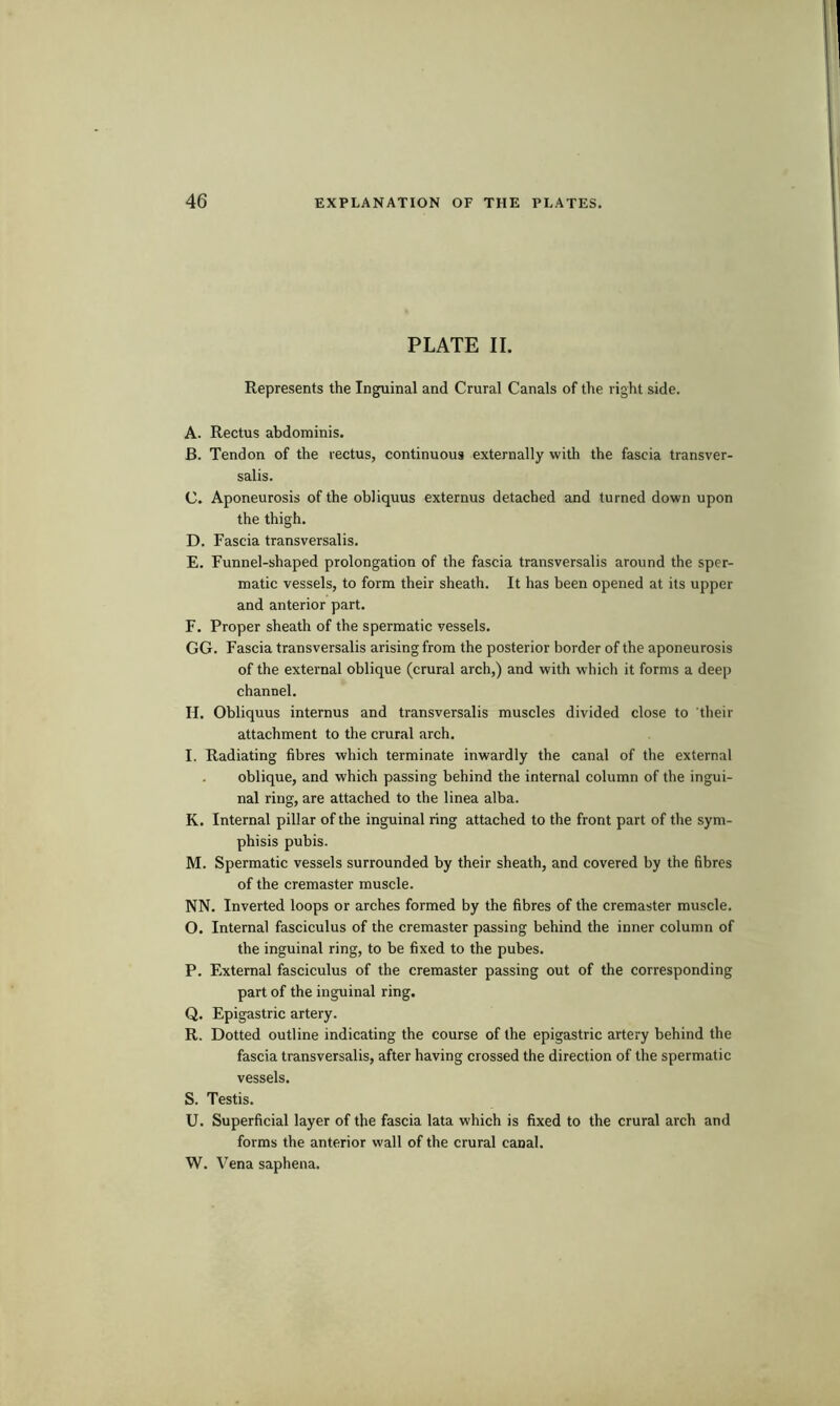 PLATE II. Represents the Inguinal and Crural Canals of the right side. A. Rectus abdominis. B. Tendon of the rectus, continuous externally with the fascia transver- salis. C. Aponeurosis of the obliquus externus detached and turned down upon the thigh. D. Fascia transversalis. E. Funnel-shaped prolongation of the fascia transversalis around the sper- matic vessels, to form their sheath. It has been opened at its upper and anterior part. F. Proper sheath of the spermatic vessels. GG. Fascia transversalis arising from the posterior border of the aponeurosis of the external oblique (crural arch,) and with which it forms a deep channel. H. Obliquus internus and transversalis muscles divided close to their attachment to the crural arch. I. Radiating fibres which terminate inwardly the canal of the external . oblique, and which passing behind the internal column of the ingui- nal ring, are attached to the linea alba. K. Internal pillar of the inguinal ring attached to the front part of the sym- phisis pubis. M. Spermatic vessels surrounded by their sheath, and covered by the fibres of the cremaster muscle. NN. Inverted loops or arches formed by the fibres of the cremaster muscle. O. Internal fasciculus of the cremaster passing behind the inner column of the inguinal ring, to be fixed to the pubes. P. External fasciculus of the cremaster passing out of the corresponding part of the inguinal ring. Q. Epigastric artery. R. Dotted outline indicating the course of the epigastric artery behind the fascia transversalis, after having crossed the direction of the spermatic vessels. S. Testis. U. Superficial layer of the fascia lata which is fixed to the crural arch and forms the anterior wall of the crural canal. W. Vena saphena.