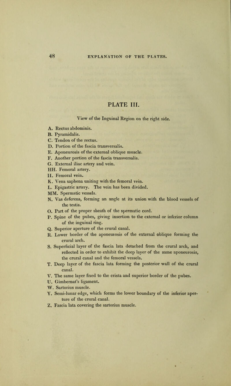 PLATE III. View of the Inguinal Region on the right side. A. Rectus abdominis. B. Pyramidal is. C. Tendon of the rectus. D. Portion of the fascia transversalis. E. Aponeurosis of the external oblique muscle. F. Another portion of the fascia transversalis. G. External iliac artery and vein. HH. Femoral artery. II. Femoral vein. K. Vena saphena uniting with the femoral vein. L. Epigastric artery. The vein has been divided. MM. Spermatic vessels. N. Vas deferens, forming an angle at its union with the blood vessels of the testis. O. Part of the proper sheath of the spermatic cord. P. Spine of the pubes, giving insertion to the external or inferior column of the inguinal ring. Q. Superior aperture of the crural canal. R. Lower border of the aponeurosis of the external oblique forming the crural arch. S. Superficial layer of the fascia lata detached from the crural arch, and reflected in order to exhibit the deep layer of the same aponeurosis, the crural canal and the femoral vessels. T. Deep layer of the fascia lata forming the posterior wall of the crural canal. V. The same layer fixed to the crista and superior border of the pubes. U. Gimbernat’s ligament. W. Sartorius muscle. Y. Semi-lunar edge, which forms the lower boundary of the inferior aper- ture of the crural canal. Z. Fascia lata covering the sartorius muscle.